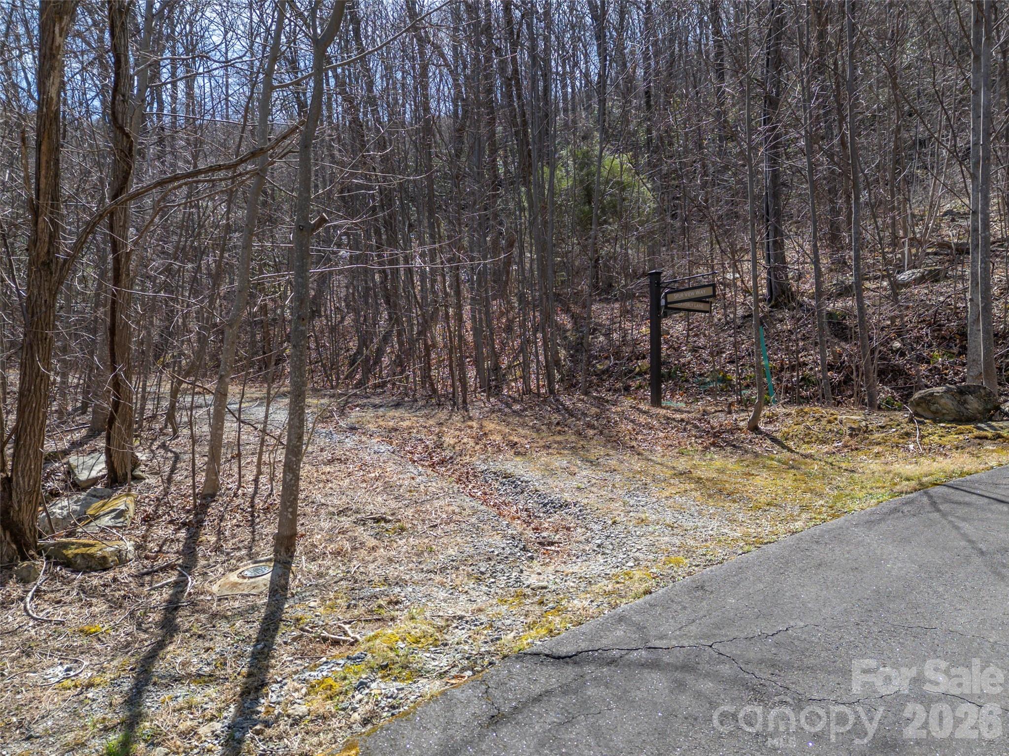 Lot at Lot 2130 Weaverly Lane, Mill Spring, photo 20 of 37