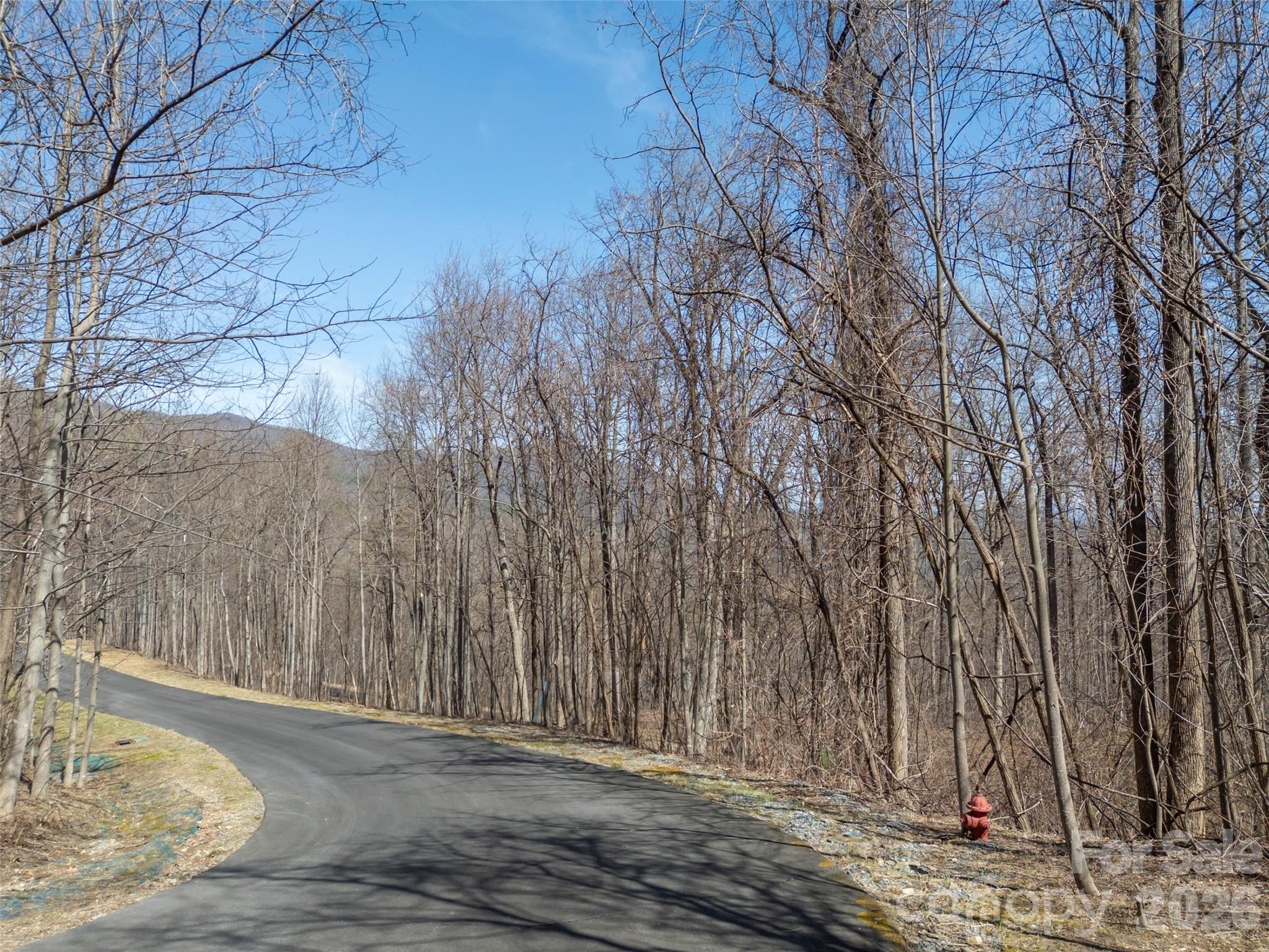 Lot at Lot 2130 Weaverly Lane, Mill Spring, photo 21 of 37
