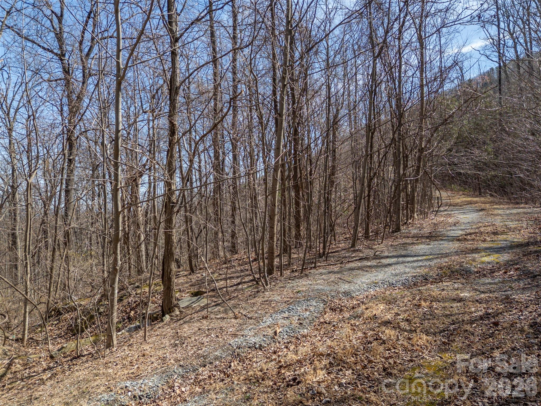 Lot at Lot 2130 Weaverly Lane, Mill Spring, photo 22 of 37