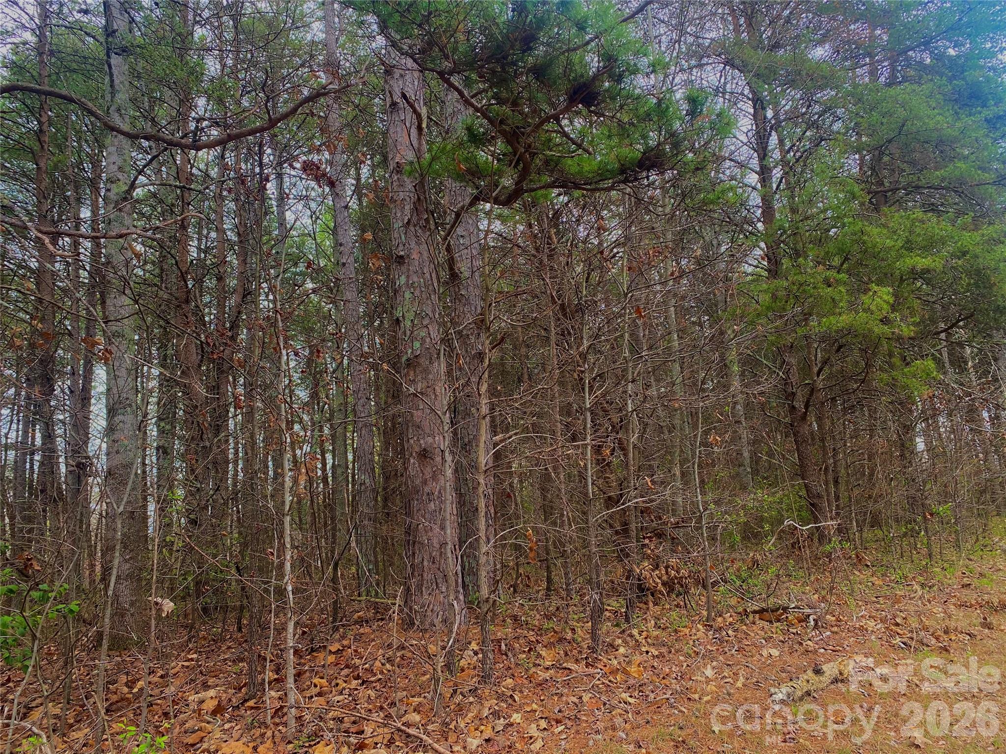 302 Lewis Ferry Rd, lot 21 - Mostly flat lot, home to be started April 2026 - 302 Lewis Ferry Road, Statesville