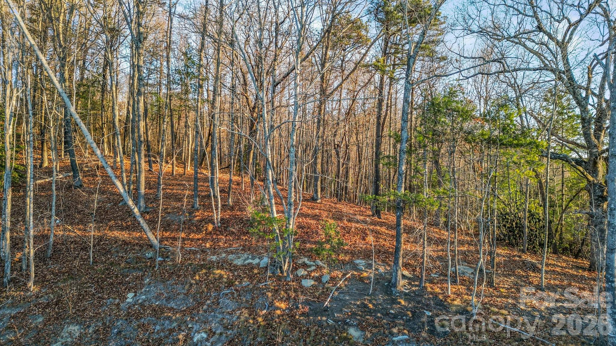 Lot at 99 Spring Song Lane, Fletcher, photo 3 of 5