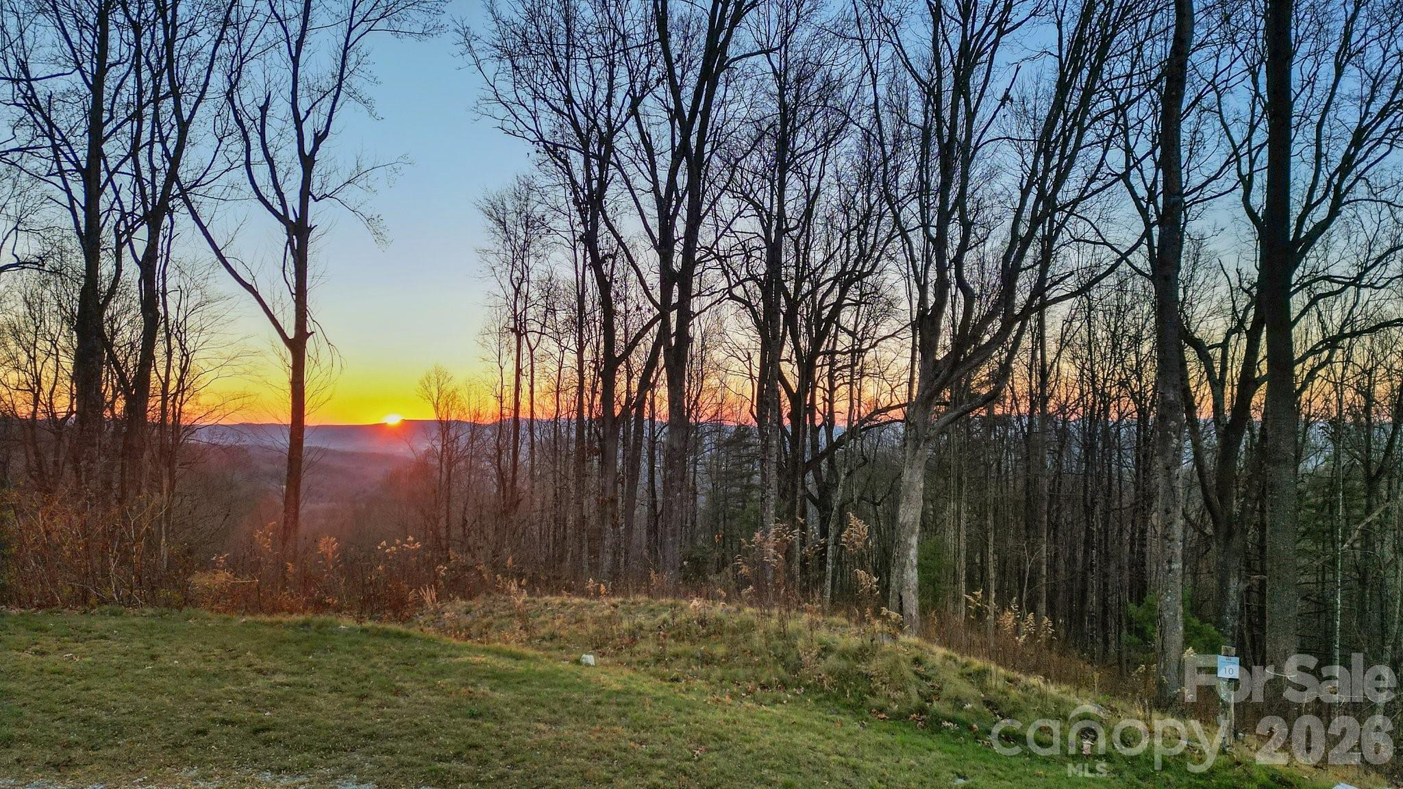 Lot at 198 Mossy Rock Way, Fletcher, photo 2 of 5