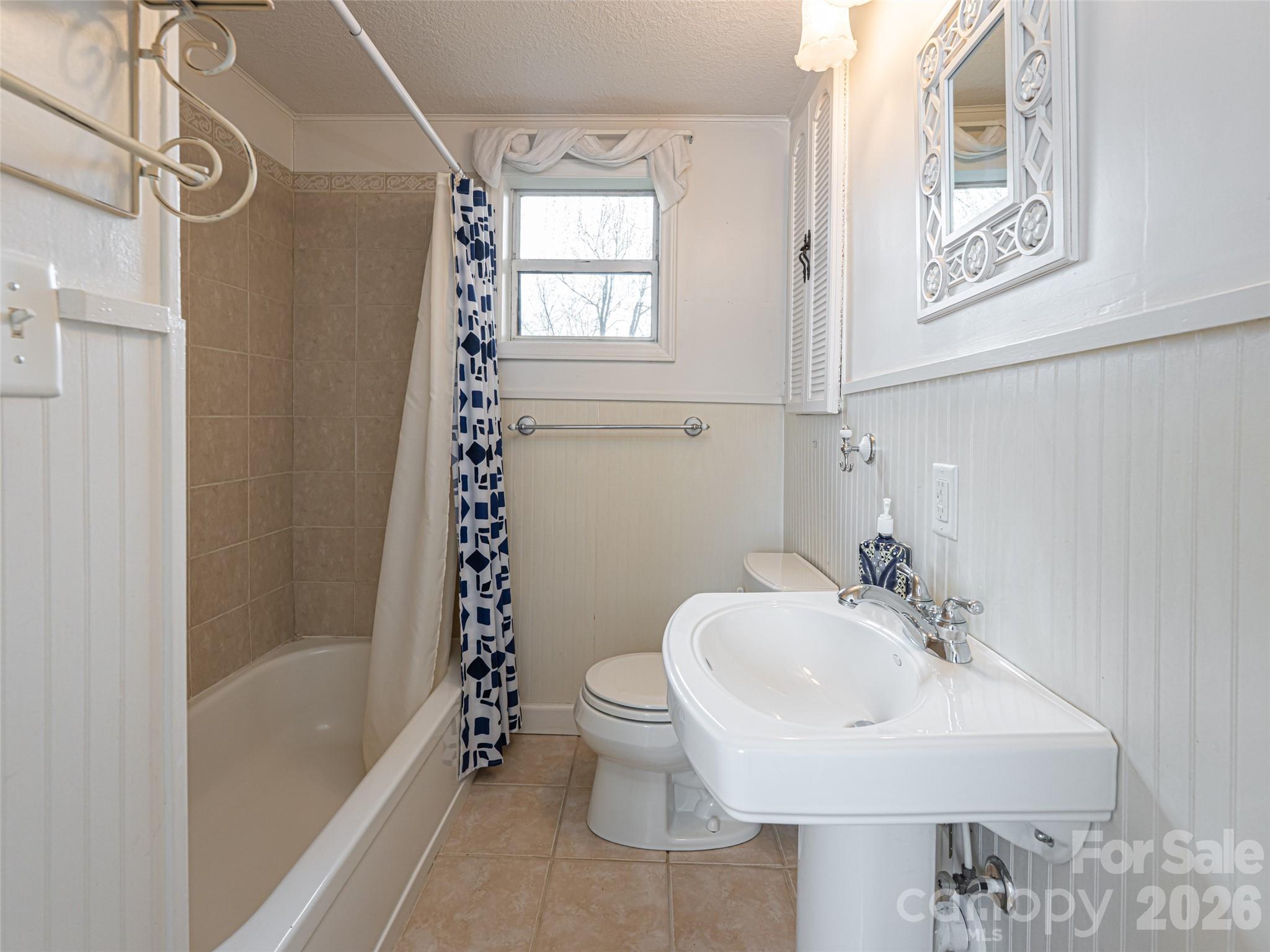 Single Family Residence at 113 5th Street, Black Mountain, photo 28 of 48