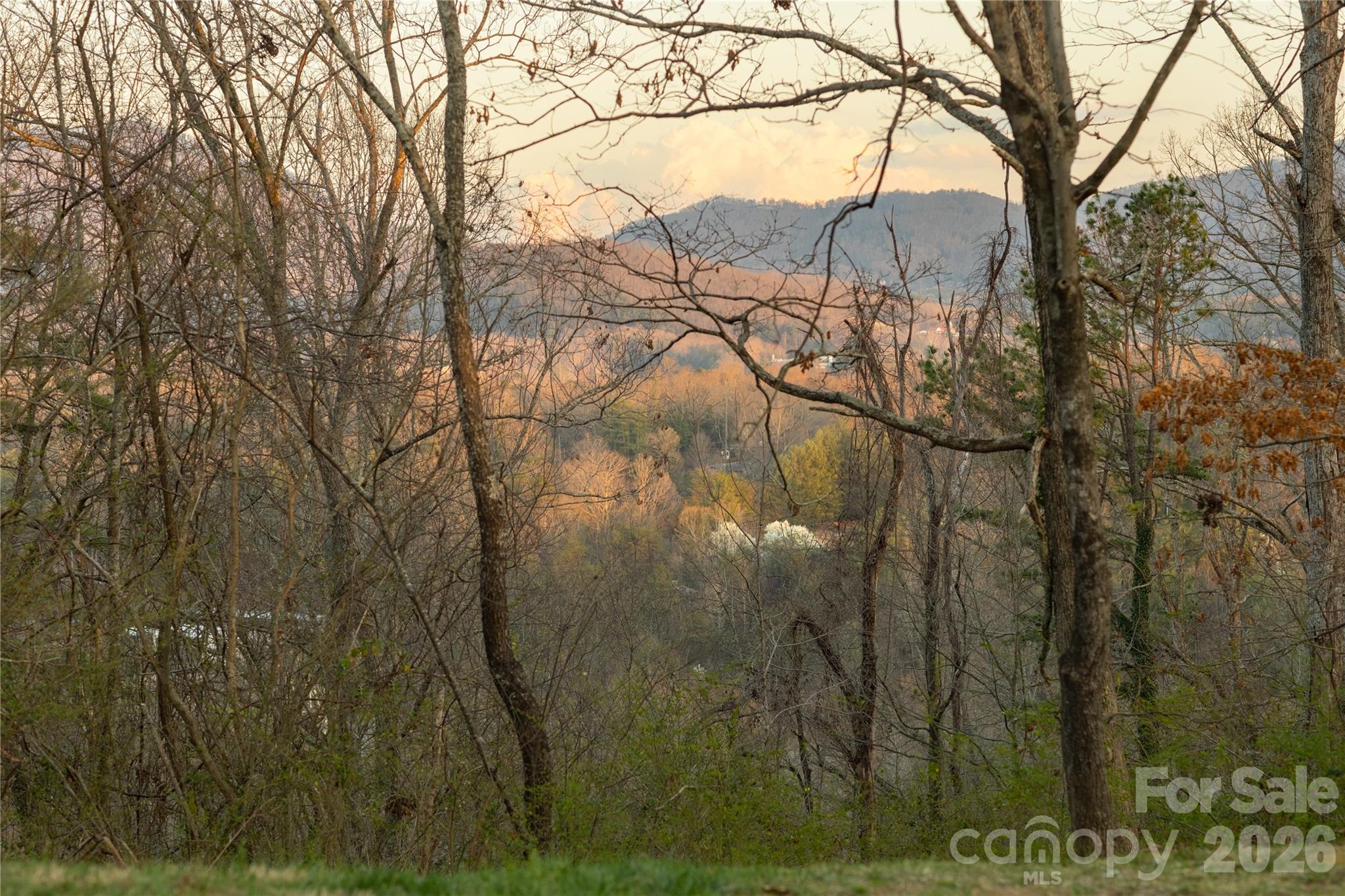 Lot at 9999 Weaver Hill Road, Asheville, photo 2 of 27