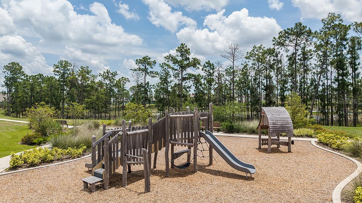Harvest at Ovation Community - 14736 FIELD DAISY DR, WINTER GARDEN