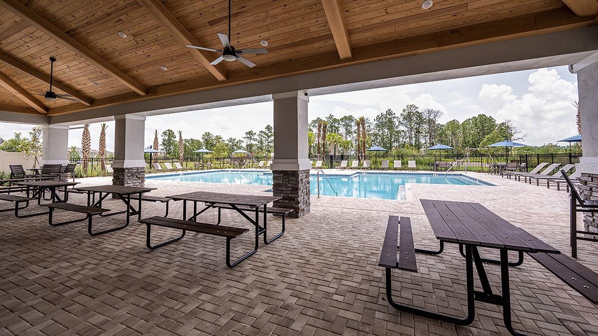 Harvest at Ovation Community - 14736 FIELD DAISY DR, WINTER GARDEN