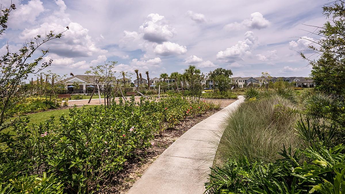 Harvest at Ovation Community - 14736 FIELD DAISY DR, WINTER GARDEN