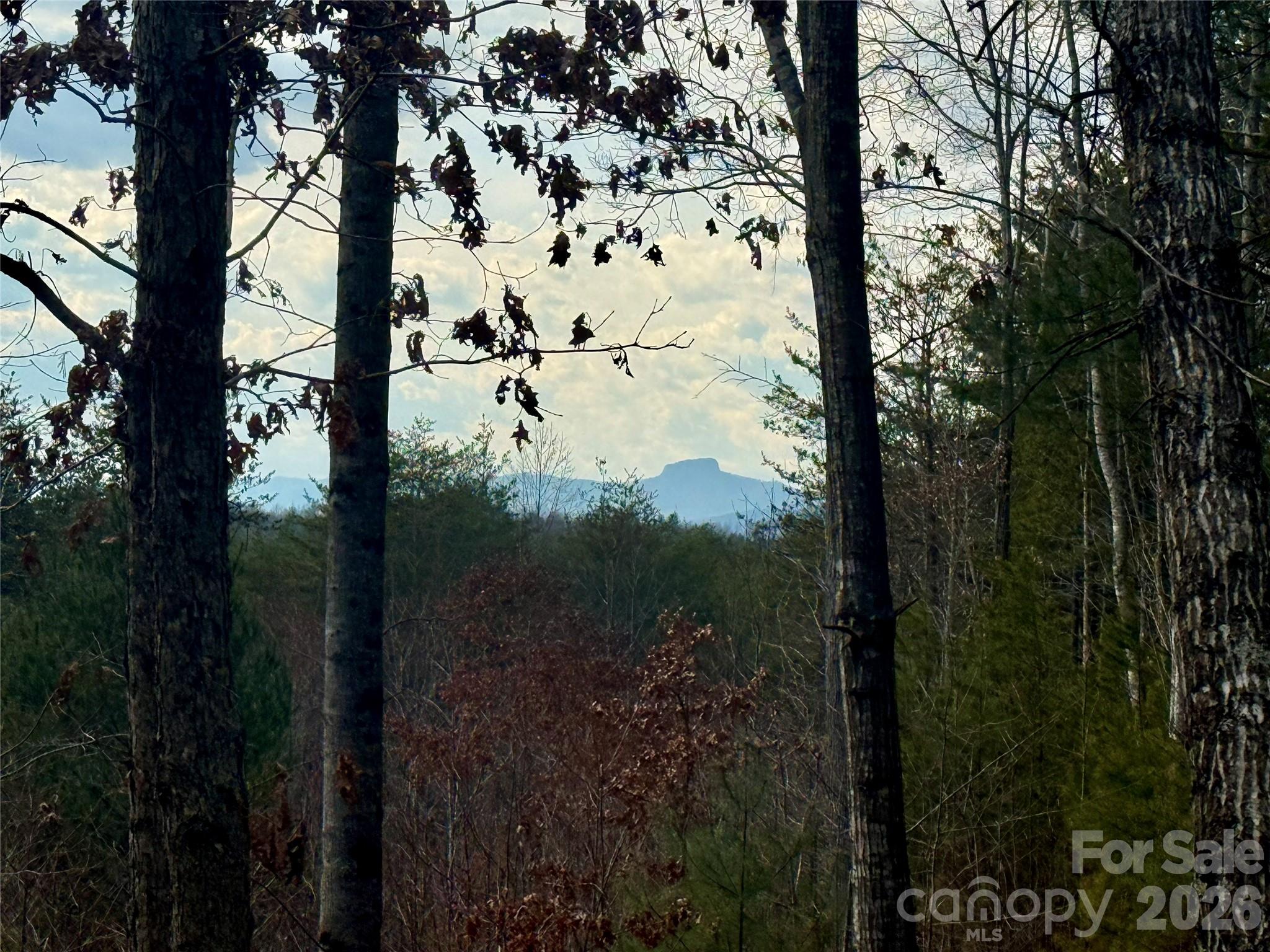 Lot at 913 High Valley Way, Lenoir, photo 2 of 40
