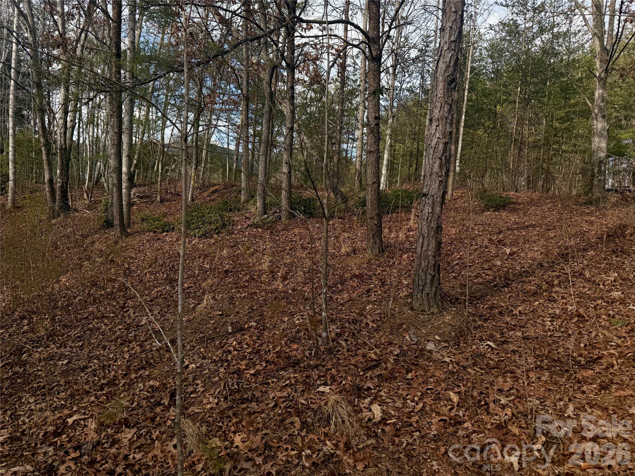 Lot at 913 High Valley Way, Lenoir, photo 11 of 40