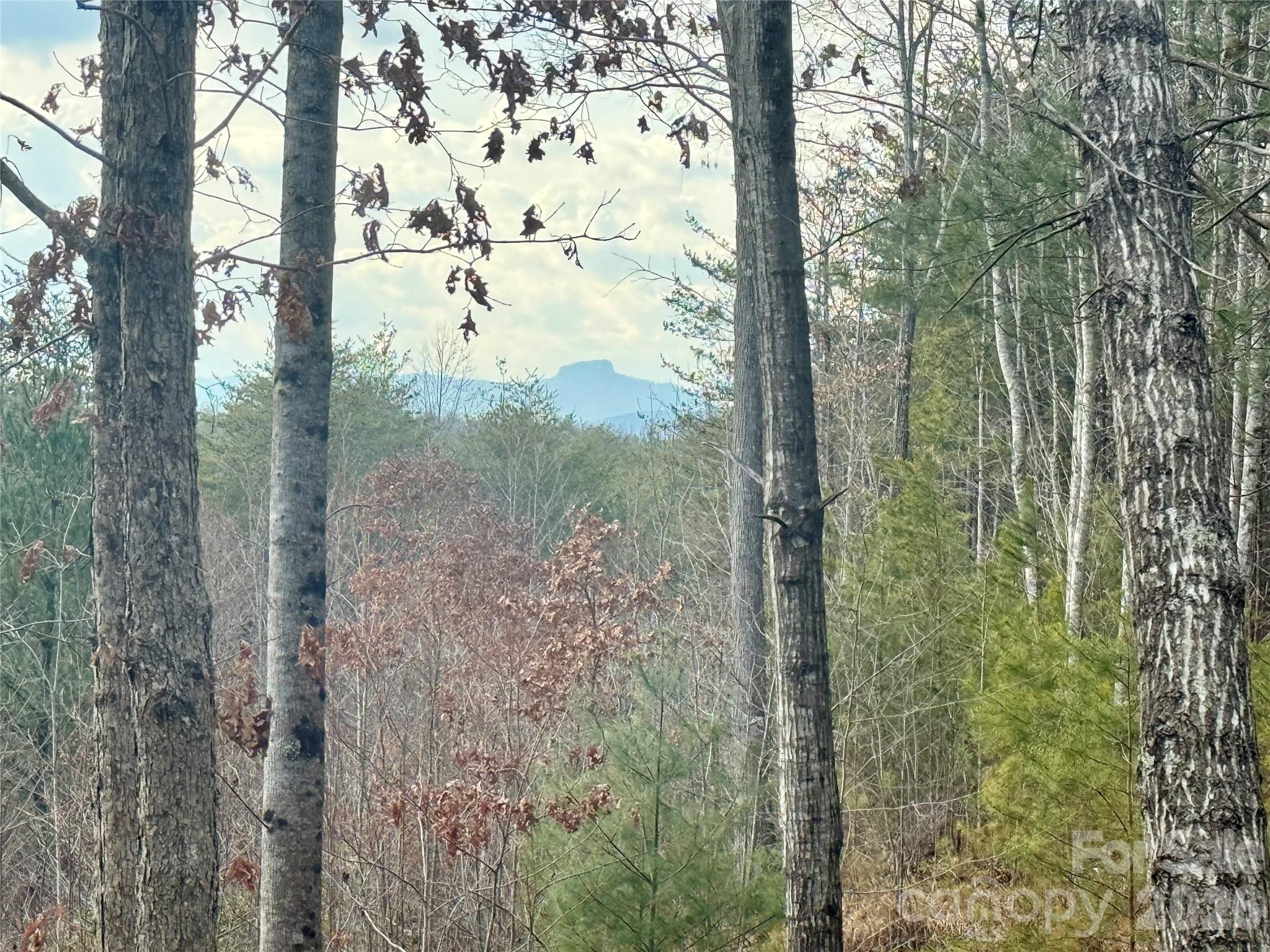Lot at 913 High Valley Way, Lenoir, photo 13 of 40