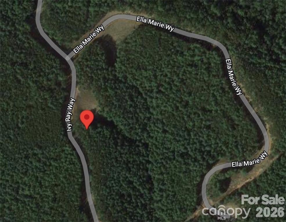 Lot at 2377 Ivy Rays Way, Nebo, photo 2 of 7