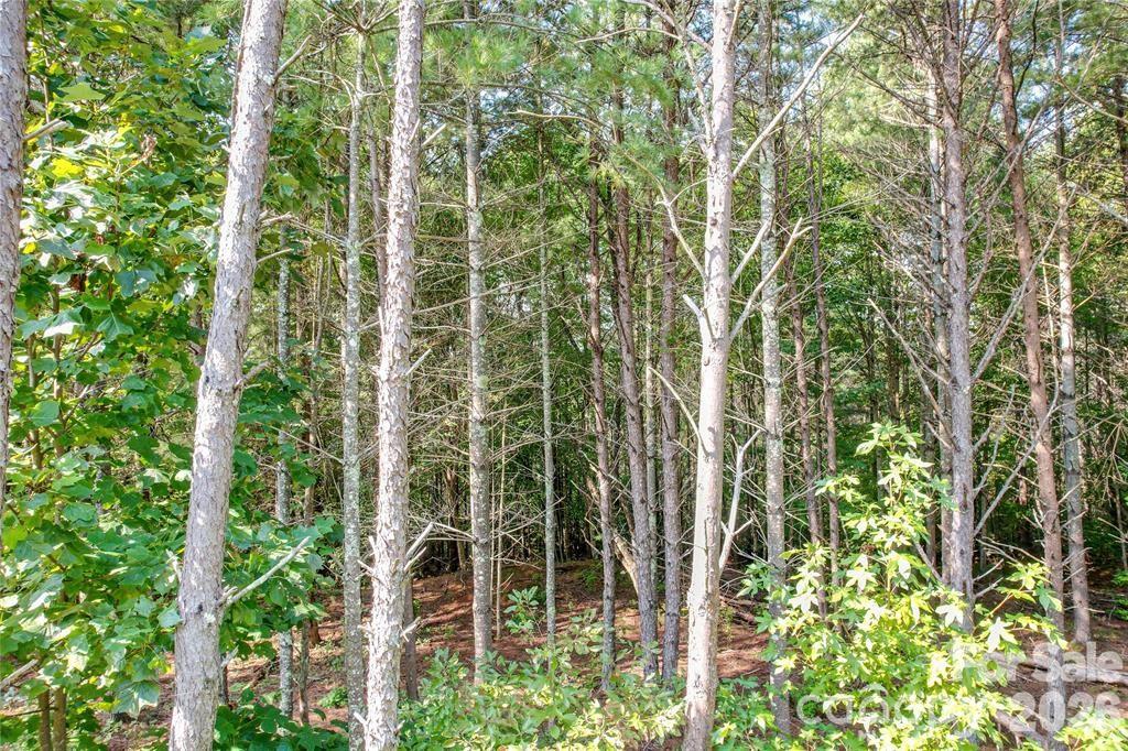 Lot at 2377 Ivy Rays Way, Nebo, photo 3 of 7