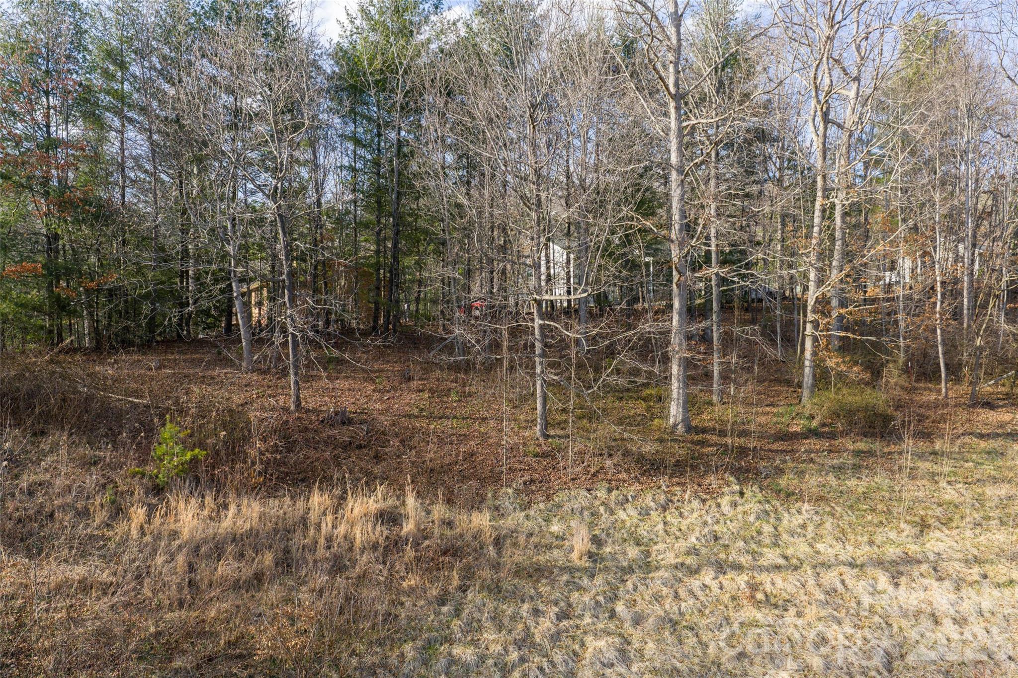 Acreage at 00 Noland Downs Road, Waynesville, photo 6 of 9