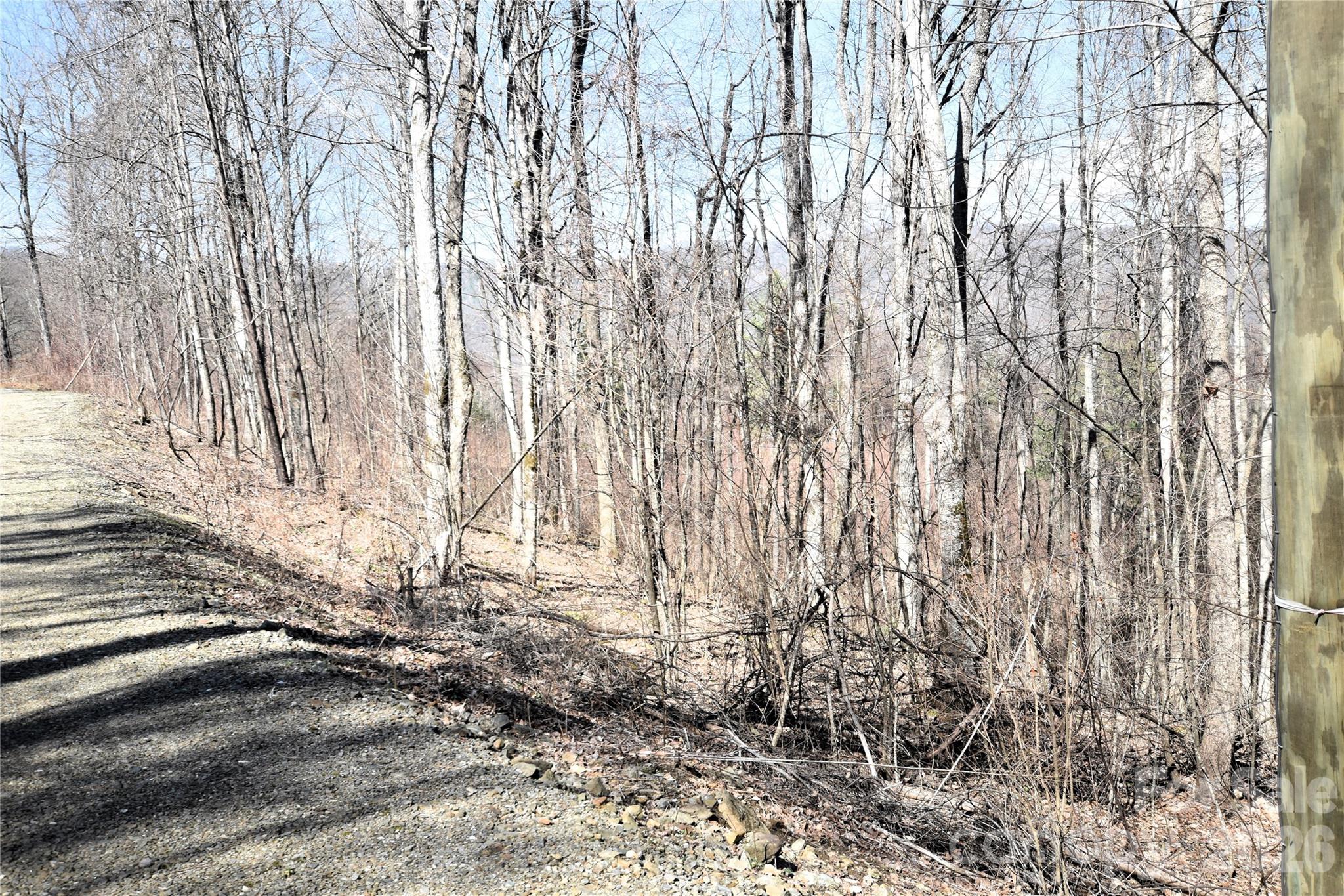 The lot as seen from the Eastern boundary behind the electric pole. - 000 Curry Comb Trail, Waynesville