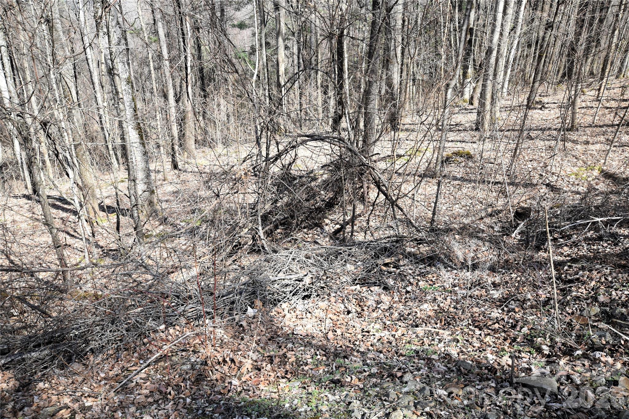 A more level section of the lot on the Eastern side of the lot. - 000 Curry Comb Trail, Waynesville