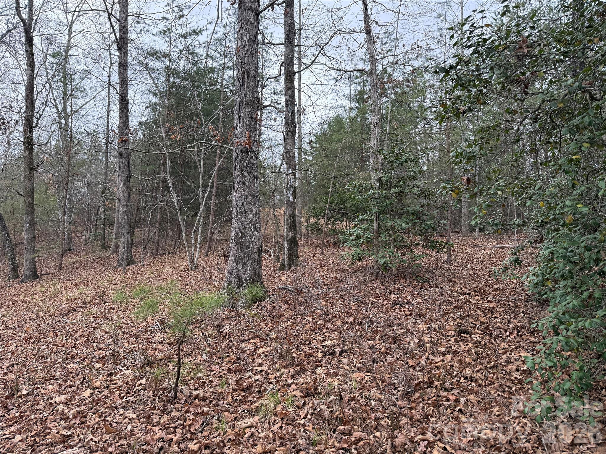 Lot at 0 Shady Bark Lane, Rutherfordton, photo 2 of 33