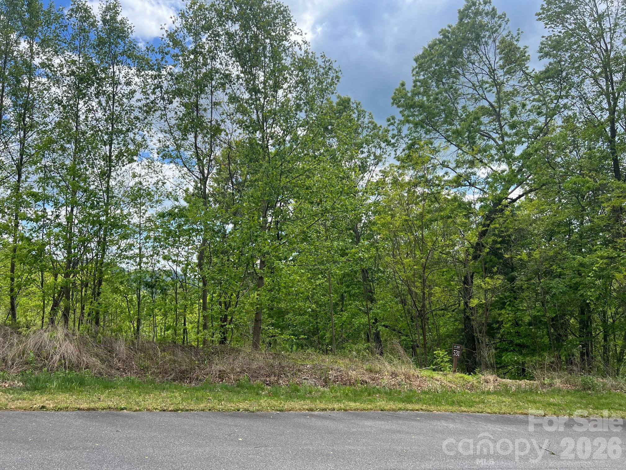 Lot at 531 Roca Vista Drive, Lenoir, photo 8 of 9