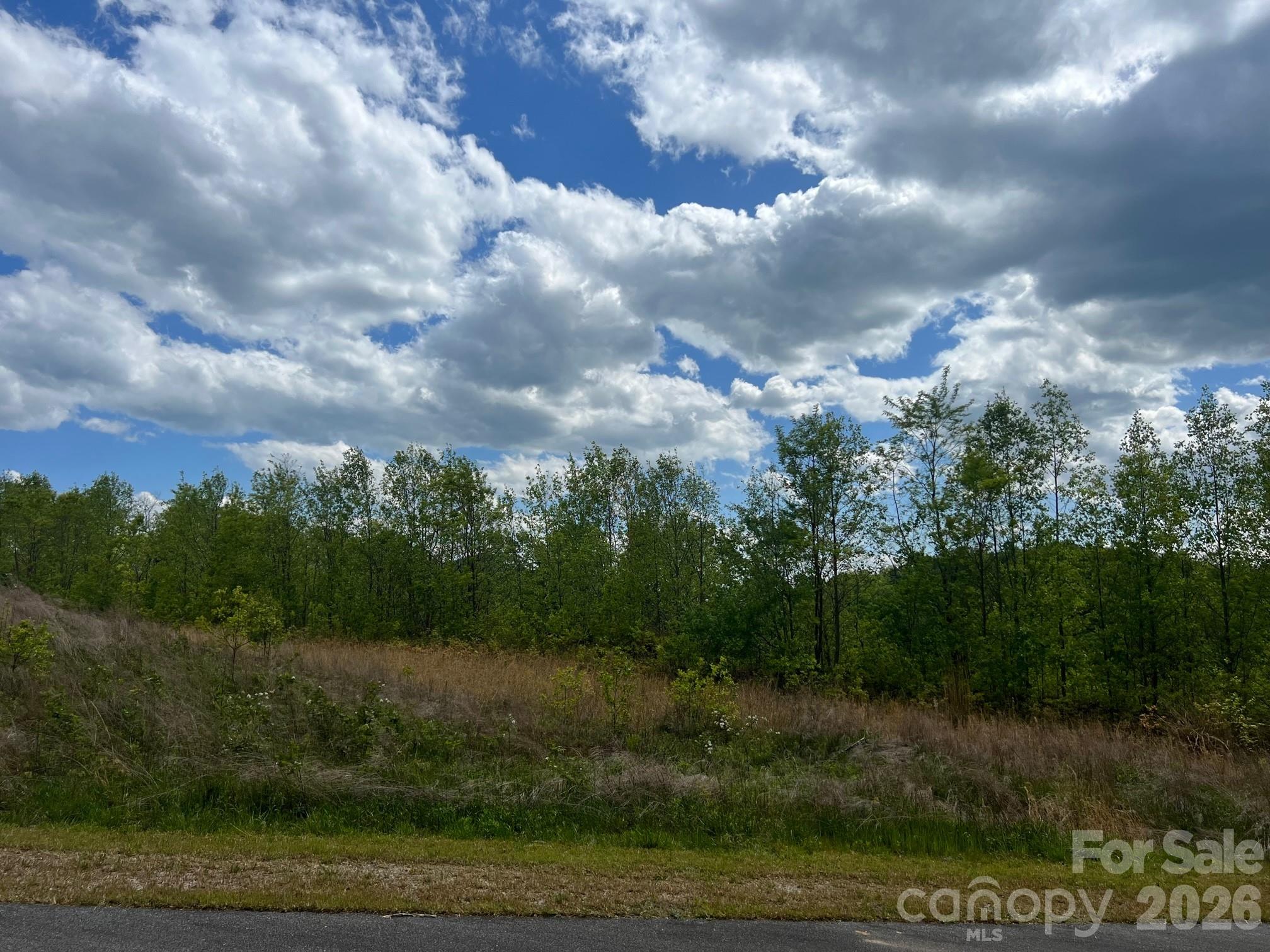Lot at 531 Roca Vista Drive, Lenoir, photo 9 of 9