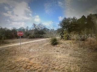 Land at 13274 CALOOSA DR, PUNTA GORDA, photo 2 of 2