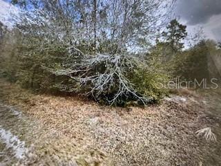 Land at 13274 CALOOSA DR, PUNTA GORDA