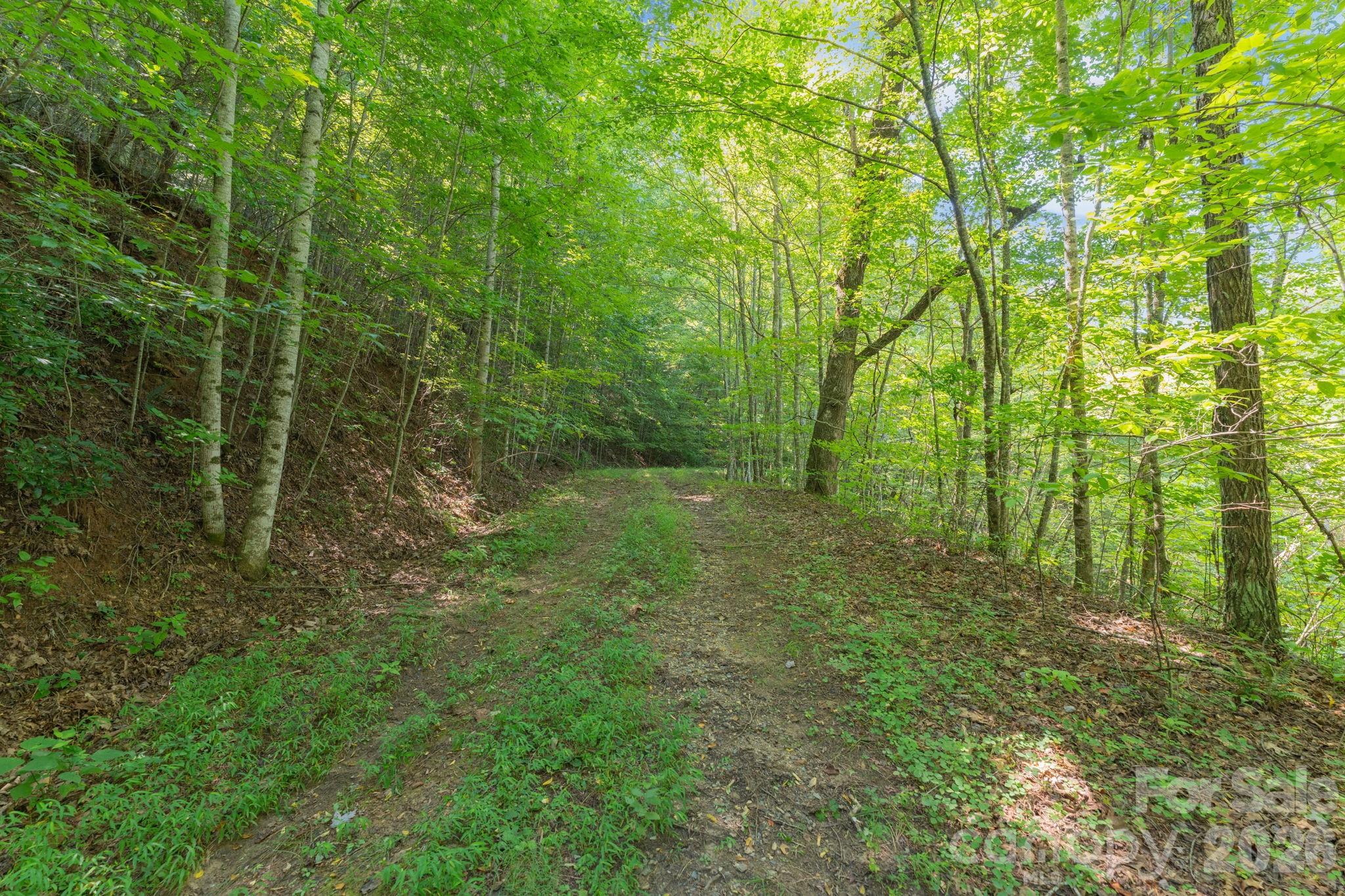 Acreage at 80 Breezewood Drive, Bryson City, photo 8 of 37