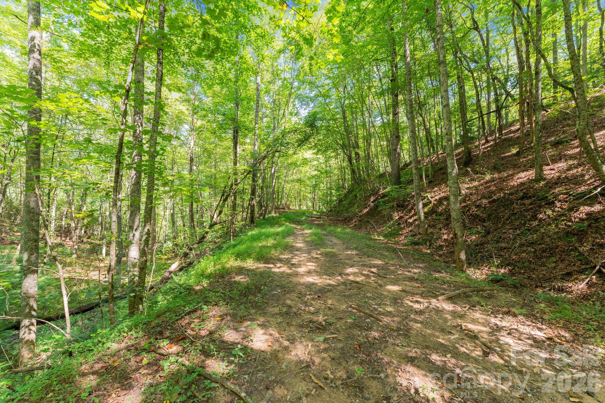 Acreage at 80 Breezewood Drive, Bryson City, photo 4 of 37