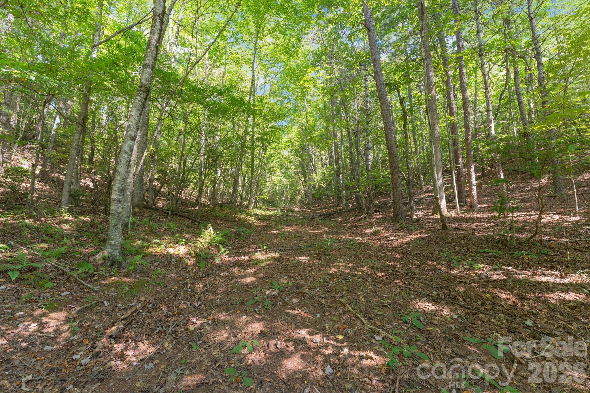 Acreage at 80 Breezewood Drive, Bryson City, photo 10 of 37
