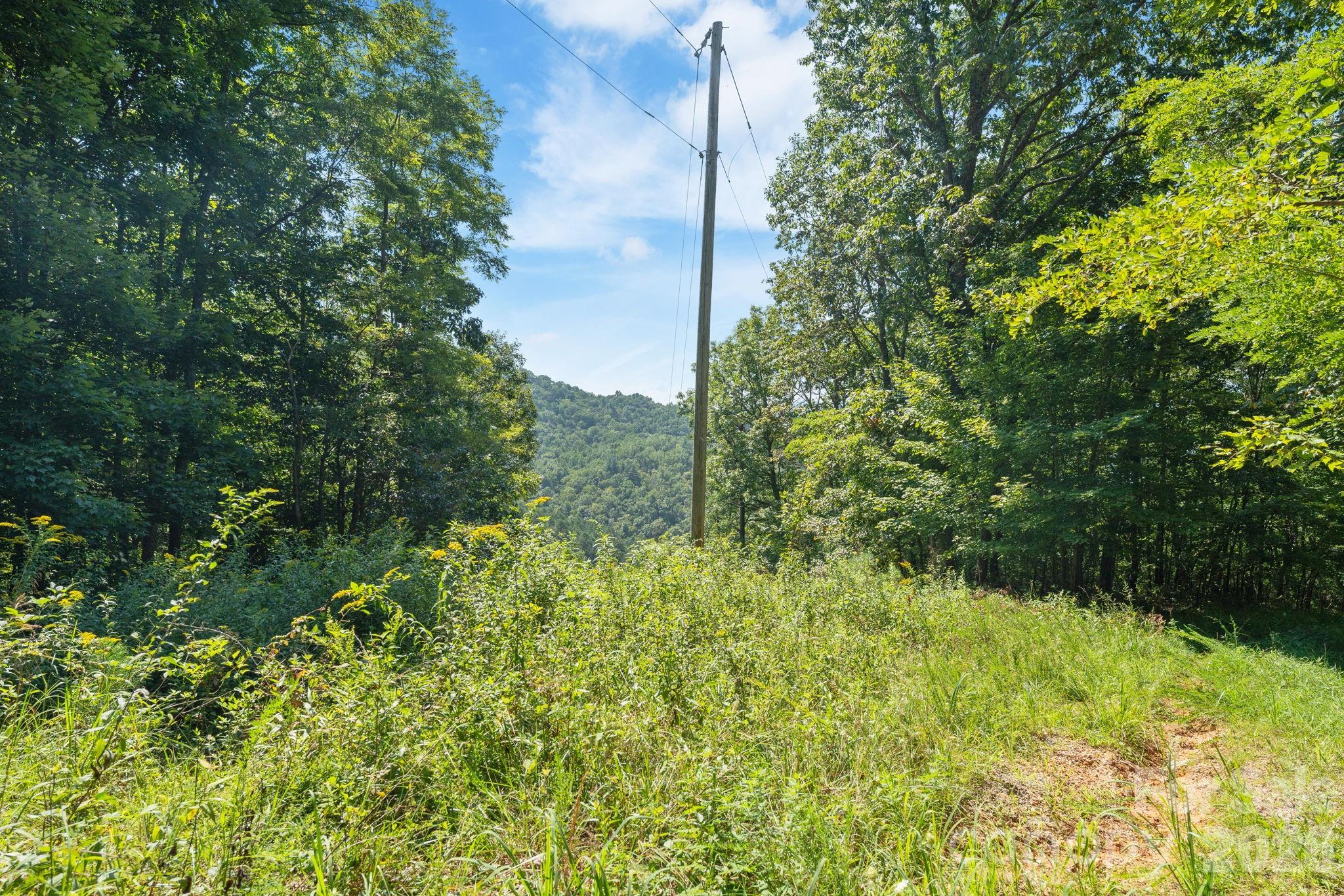 Acreage at 80 Breezewood Drive, Bryson City, photo 11 of 37