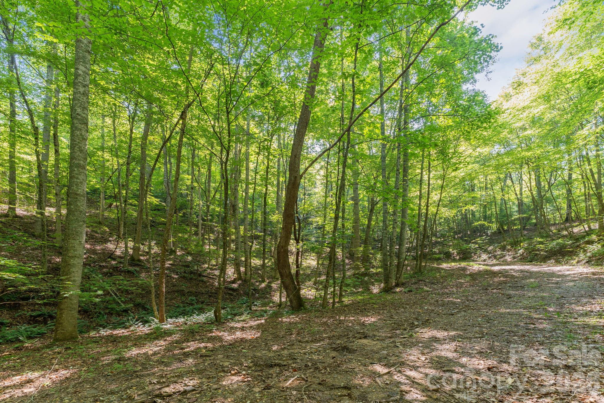 Acreage at 80 Breezewood Drive, Bryson City, photo 6 of 37