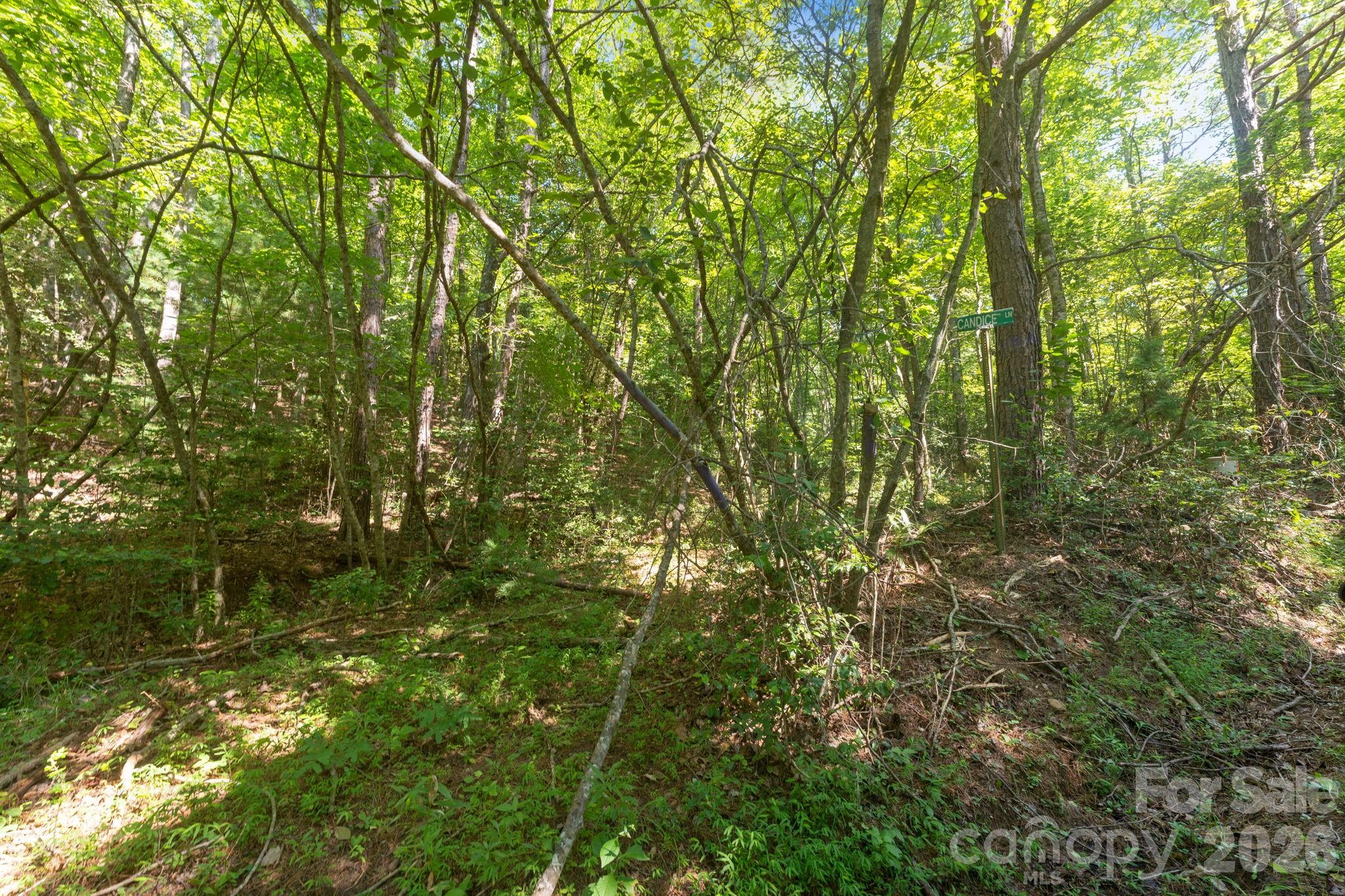 Acreage at 80 Breezewood Drive, Bryson City, photo 21 of 37