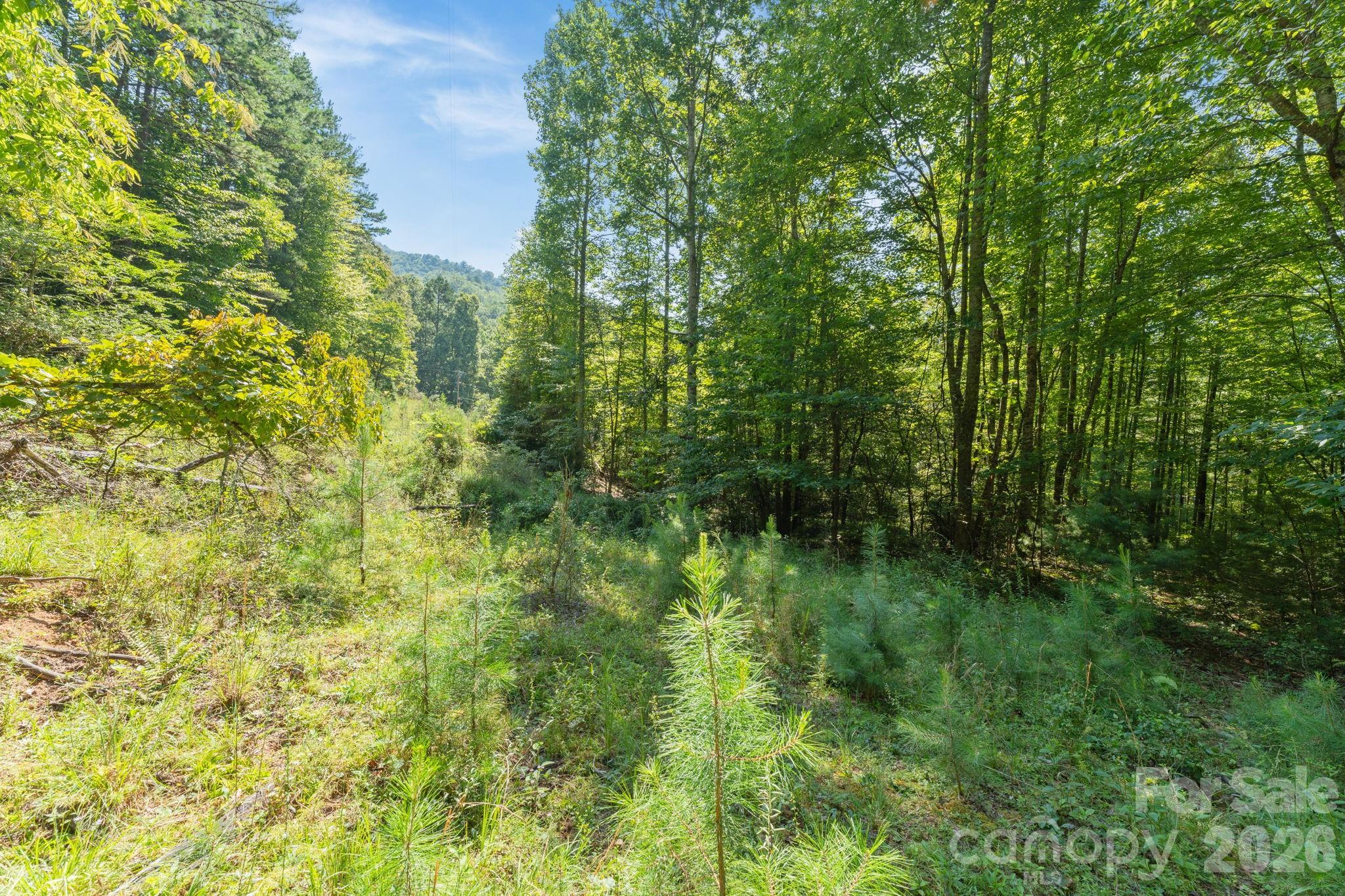 Acreage at 80 Breezewood Drive, Bryson City, photo 22 of 37
