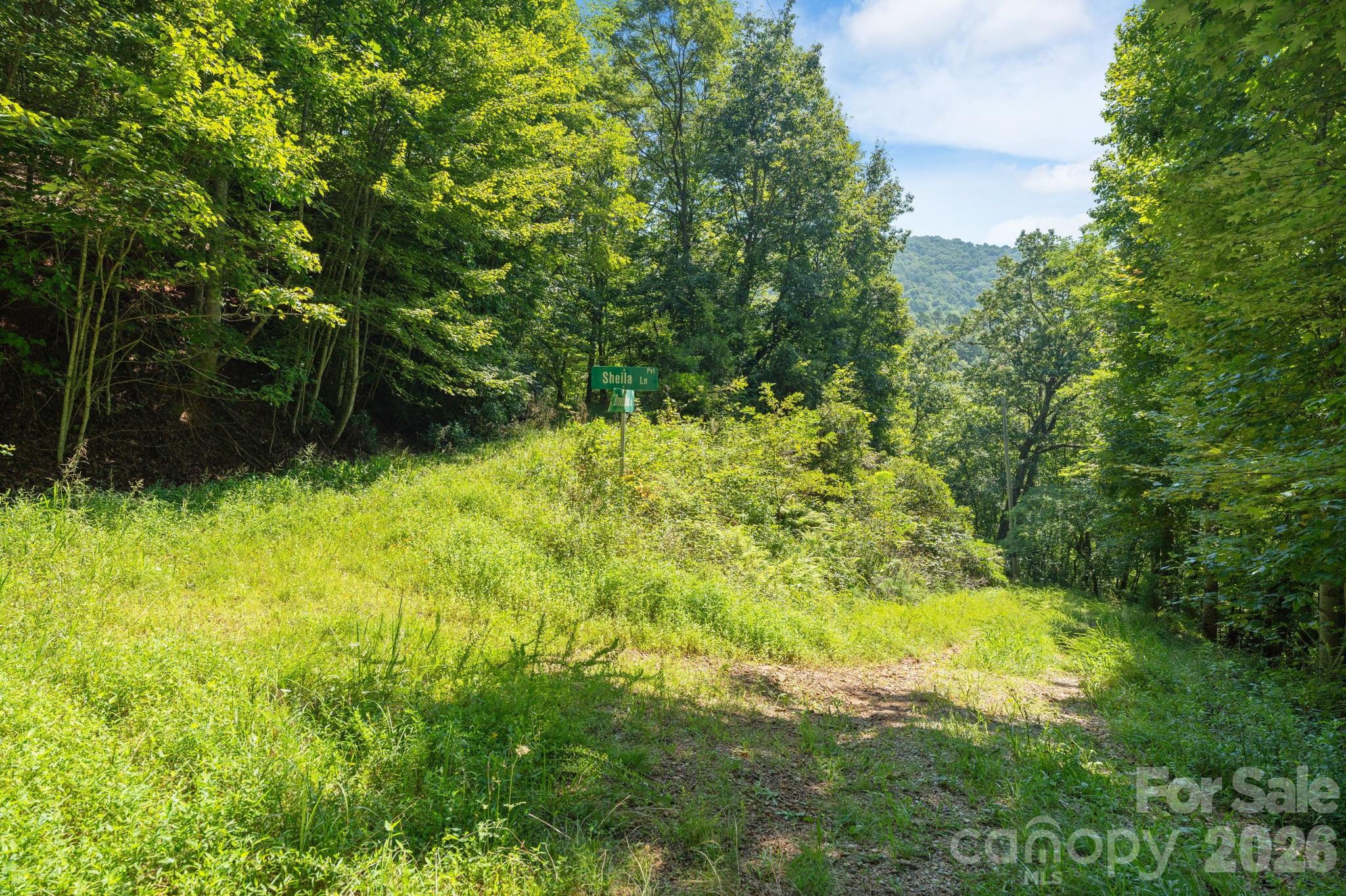 Acreage at 80 Breezewood Drive, Bryson City, photo 24 of 37