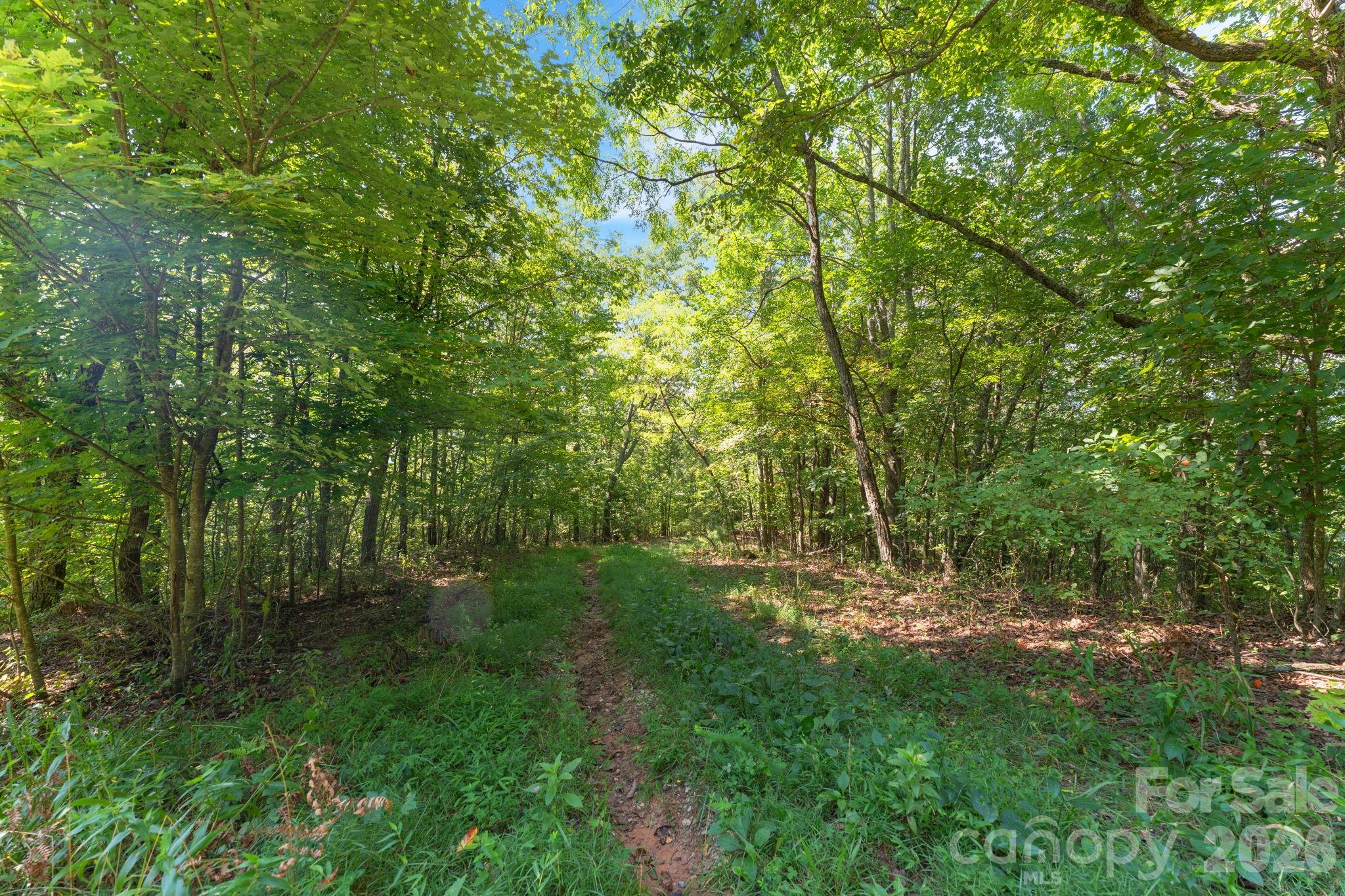 Acreage at 80 Breezewood Drive, Bryson City, photo 25 of 37
