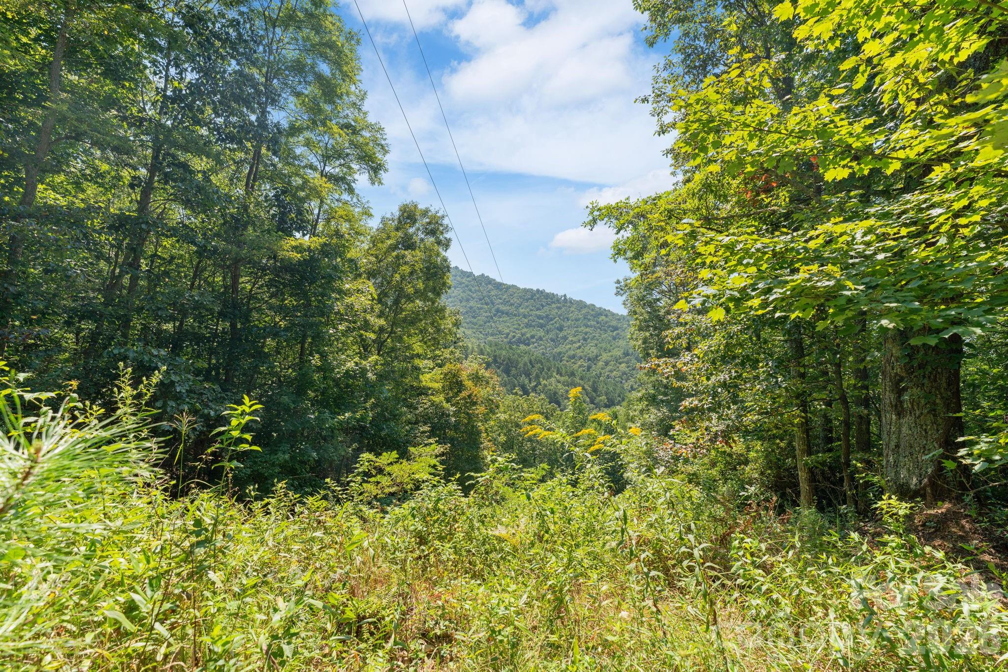 Acreage at 80 Breezewood Drive, Bryson City, photo 26 of 37