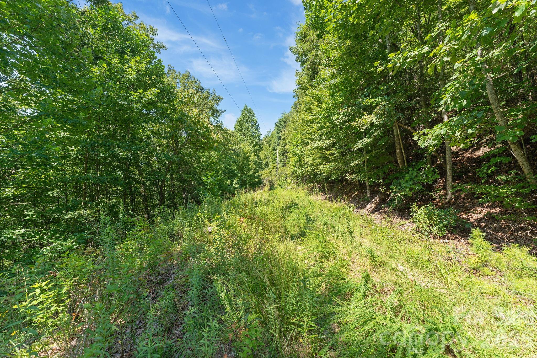 Acreage at 80 Breezewood Drive, Bryson City, photo 27 of 37