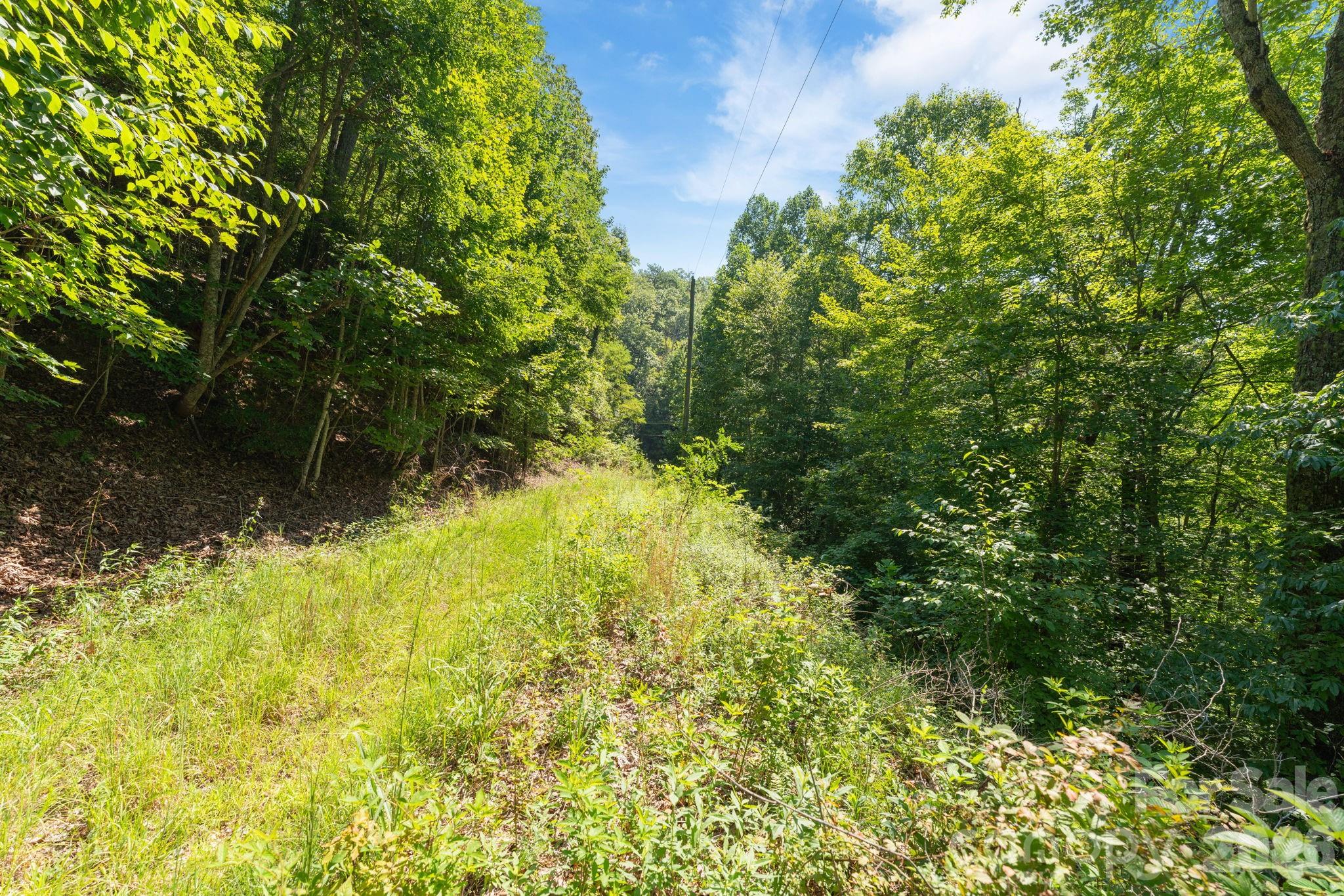 Acreage at 80 Breezewood Drive, Bryson City, photo 28 of 37