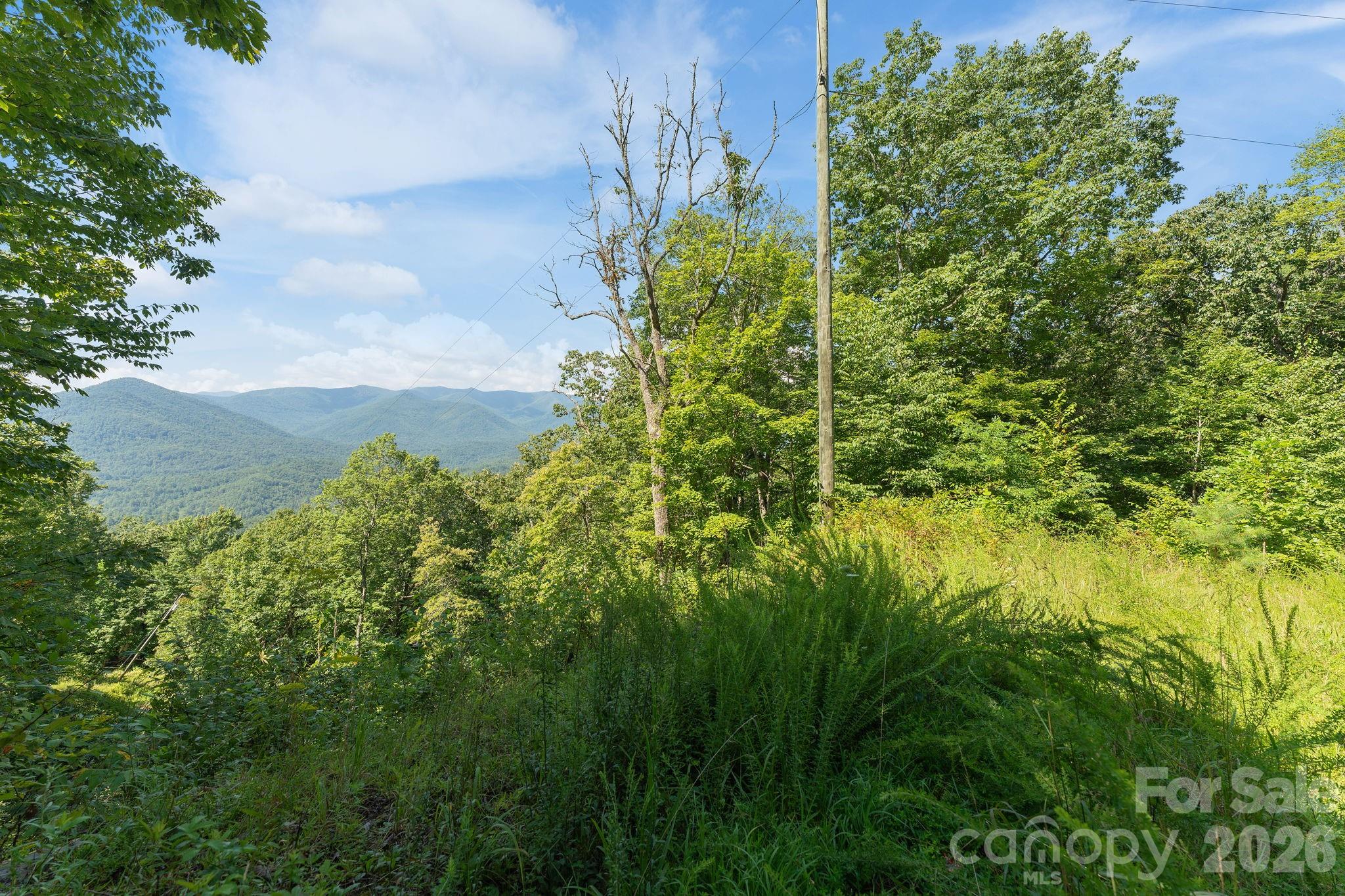Acreage at 80 Breezewood Drive, Bryson City, photo 2 of 37