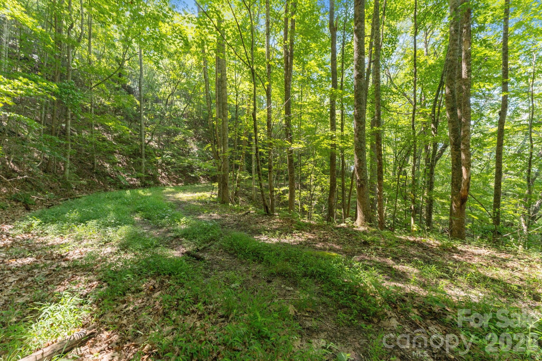 Acreage at 80 Breezewood Drive, Bryson City, photo 30 of 37