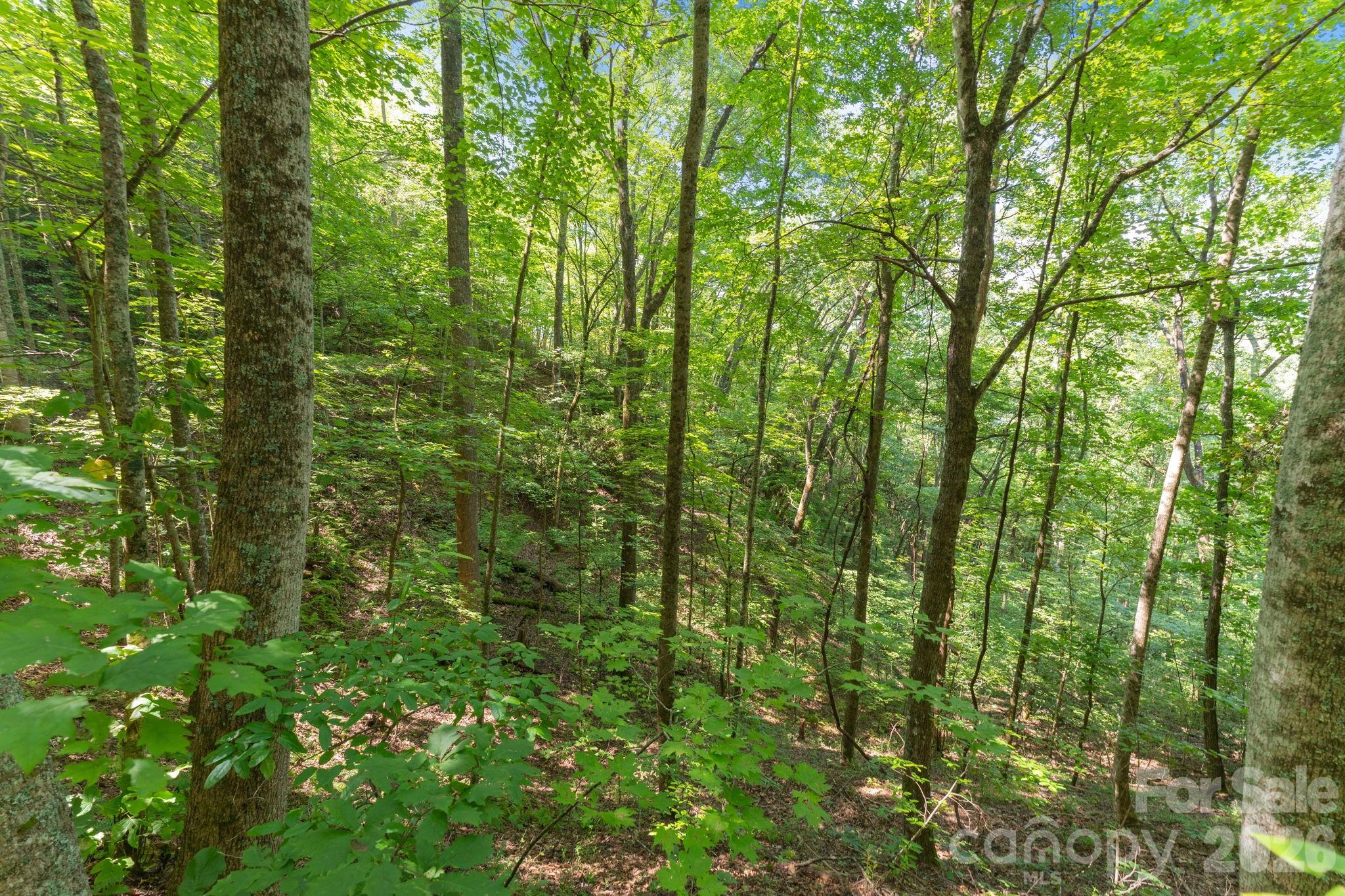 Acreage at 80 Breezewood Drive, Bryson City, photo 31 of 37