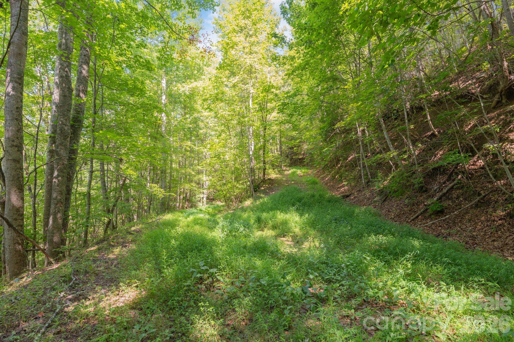 Acreage at 80 Breezewood Drive, Bryson City, photo 32 of 37