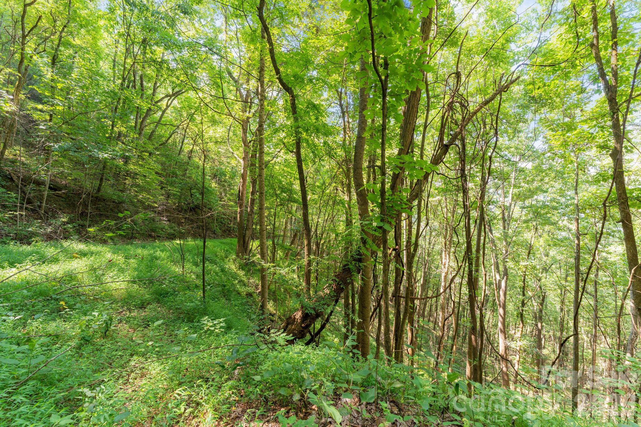 Acreage at 80 Breezewood Drive, Bryson City, photo 33 of 37