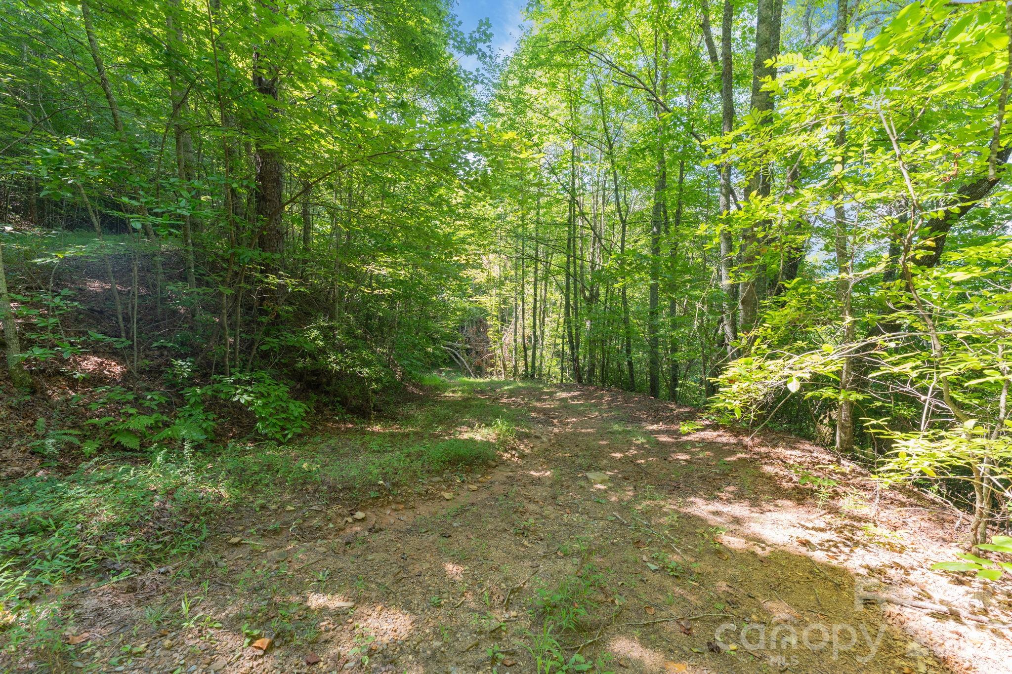 Acreage at 80 Breezewood Drive, Bryson City, photo 34 of 37