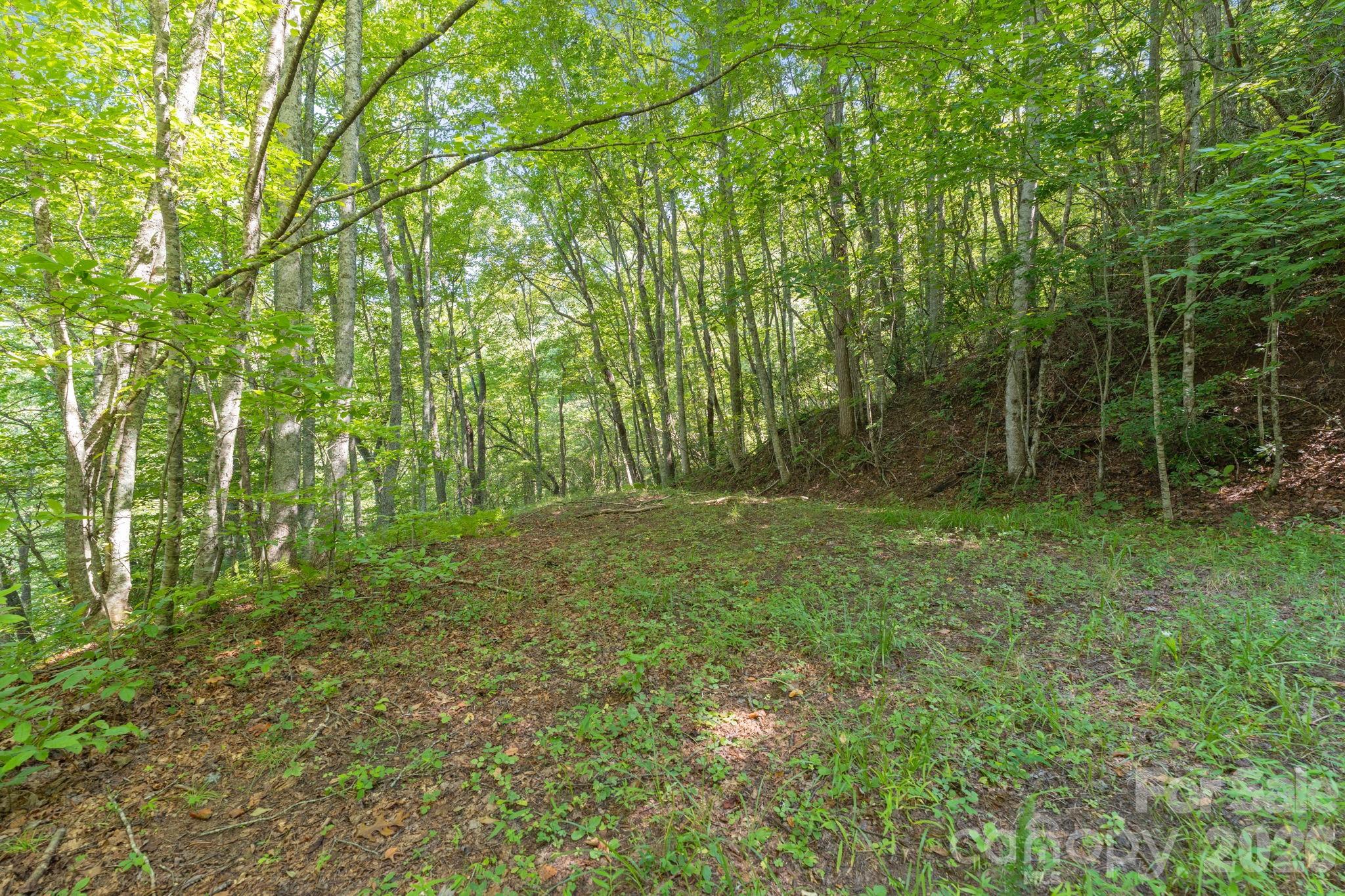 Acreage at 80 Breezewood Drive, Bryson City, photo 15 of 37