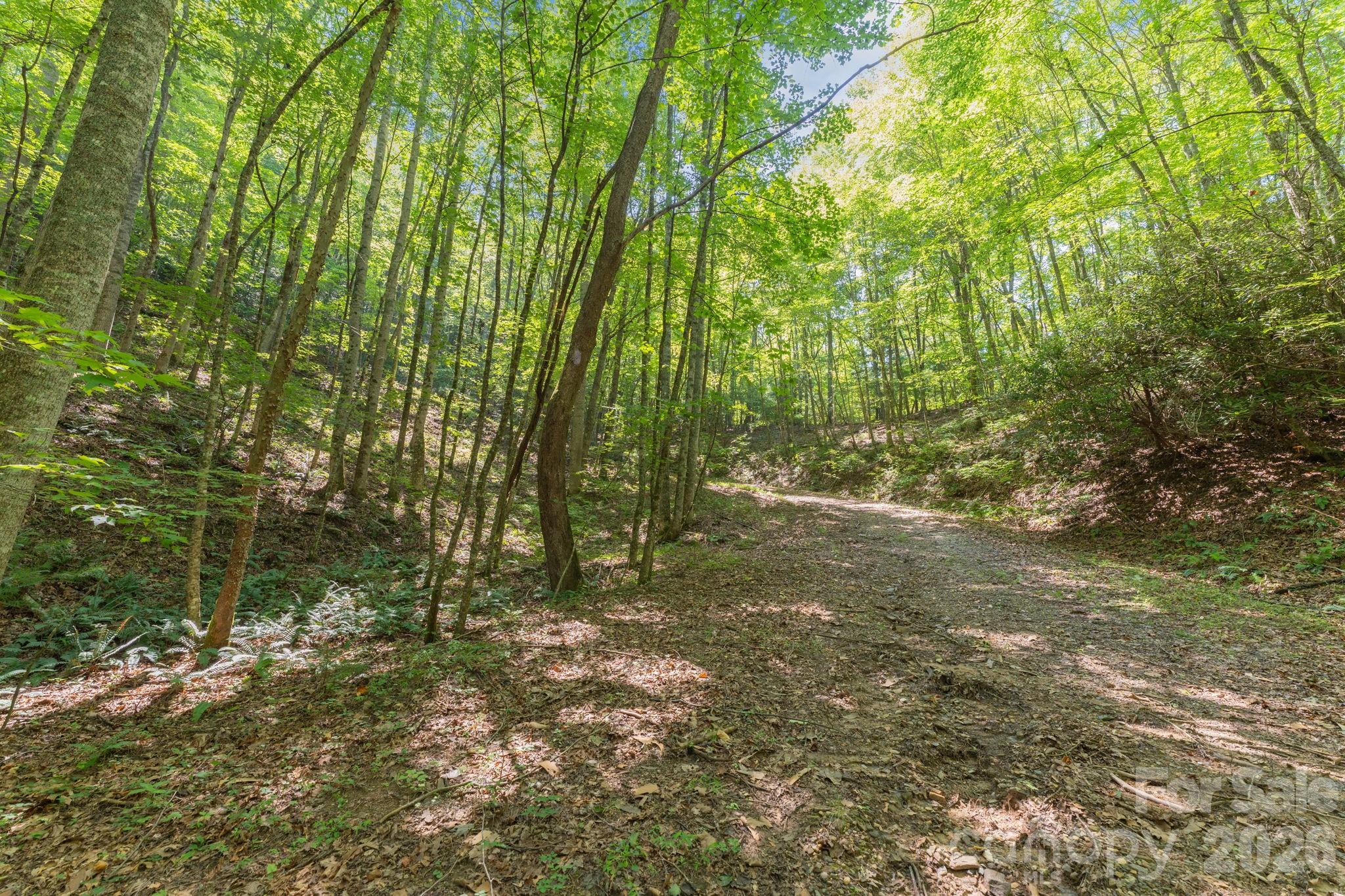 Acreage at 80 Breezewood Drive, Bryson City, photo 35 of 37