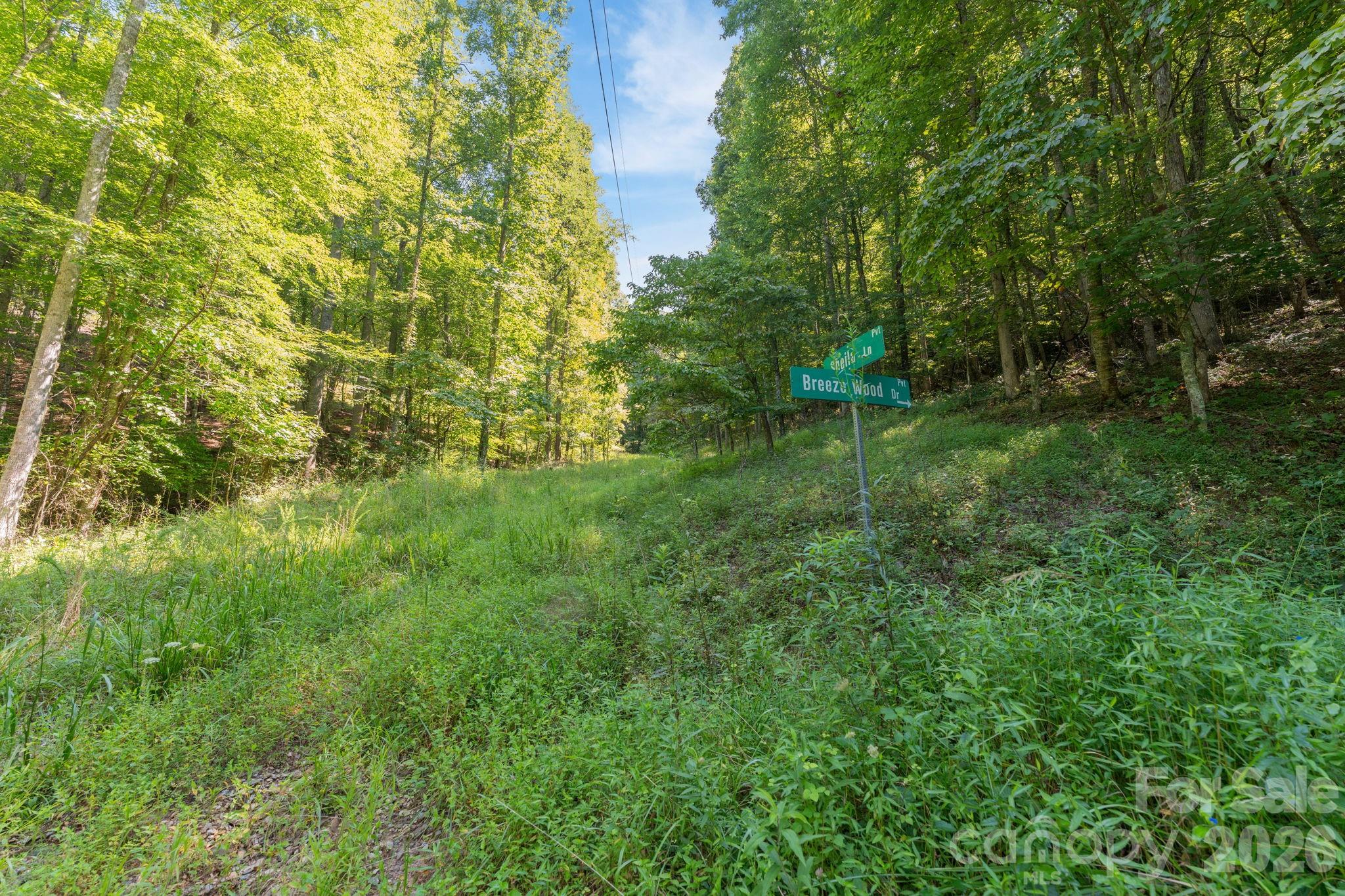 Acreage at 80 Breezewood Drive, Bryson City, photo 36 of 37
