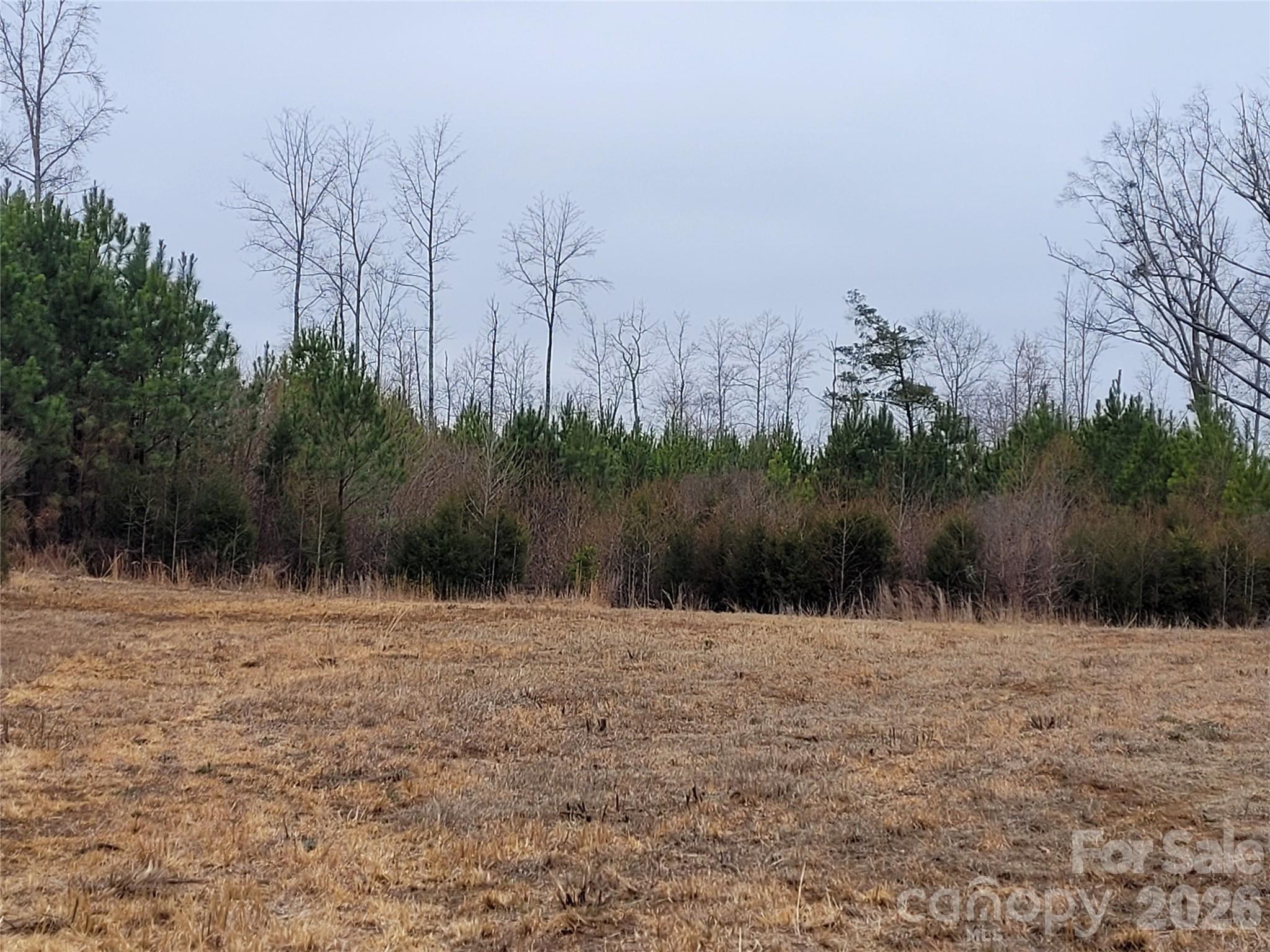 Acreage at 00000 Frazier Road, Mebane, photo 6 of 12