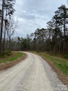 Acreage at 1010 Three Lakes Trail, Waxhaw, photo 3 of 3