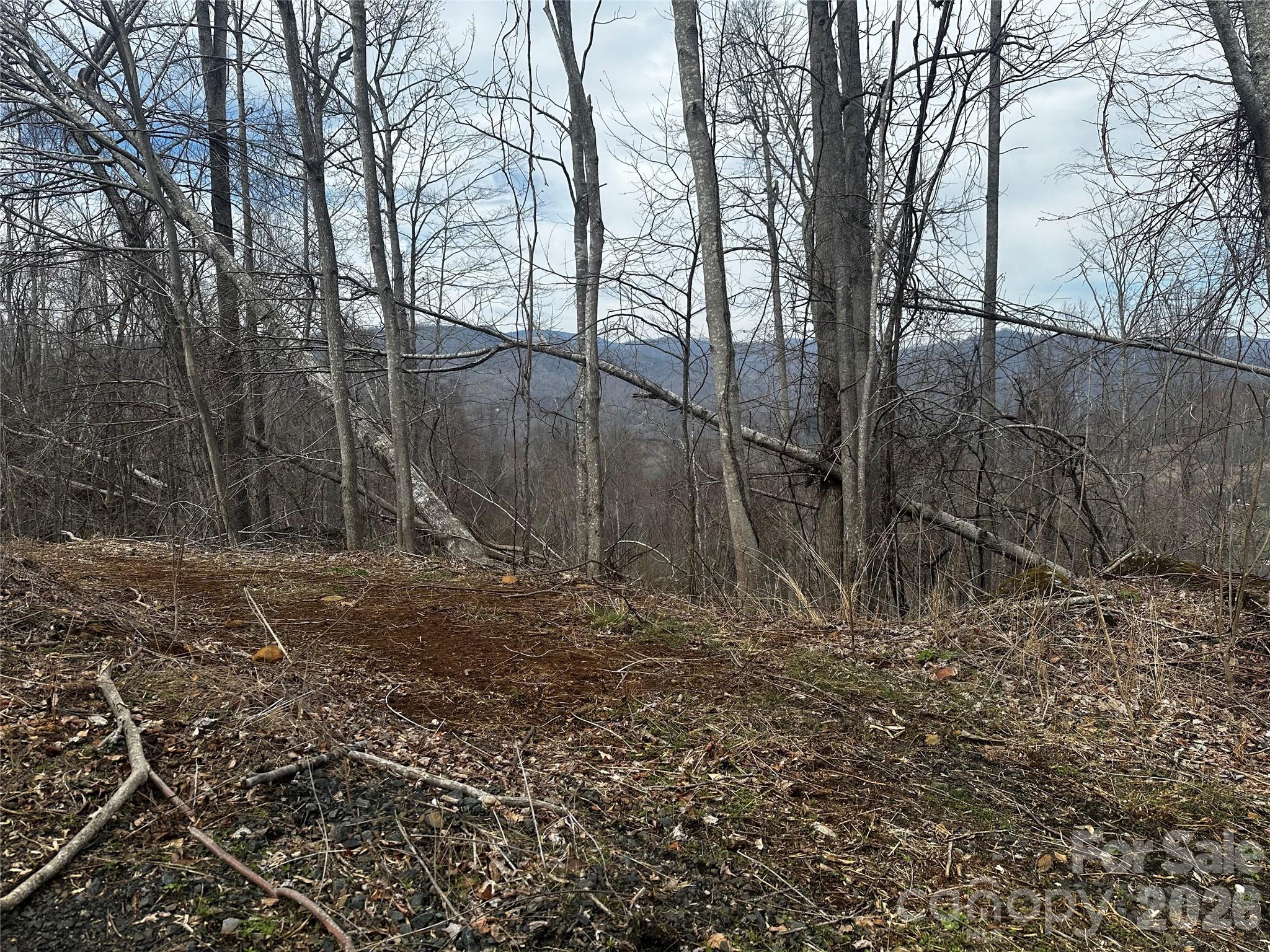 00 Bear Ridge Road