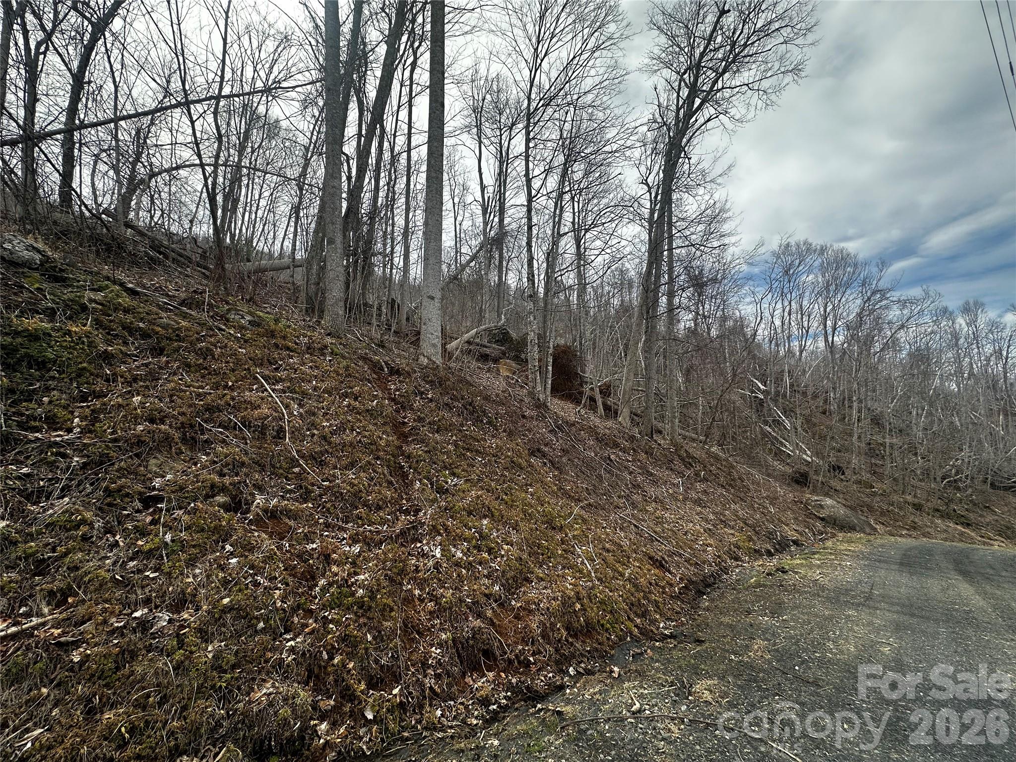 Lot at 00 Bear Ridge Road, Bakersville, photo 2 of 19