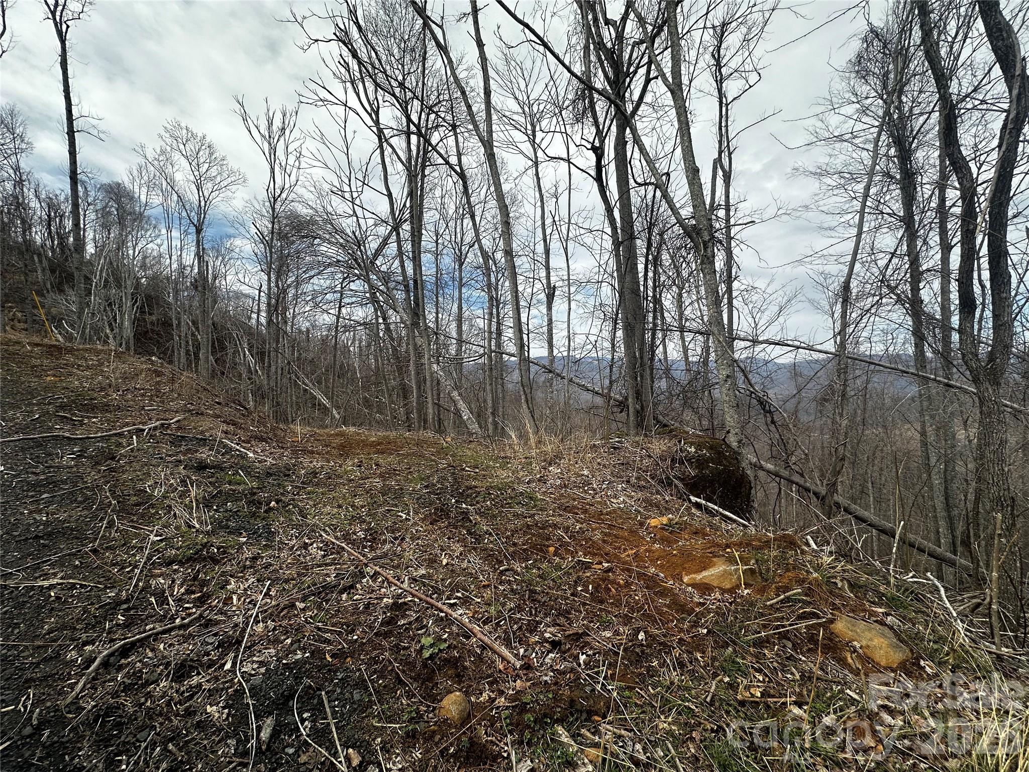 Lot at 00 Bear Ridge Road, Bakersville, photo 3 of 19